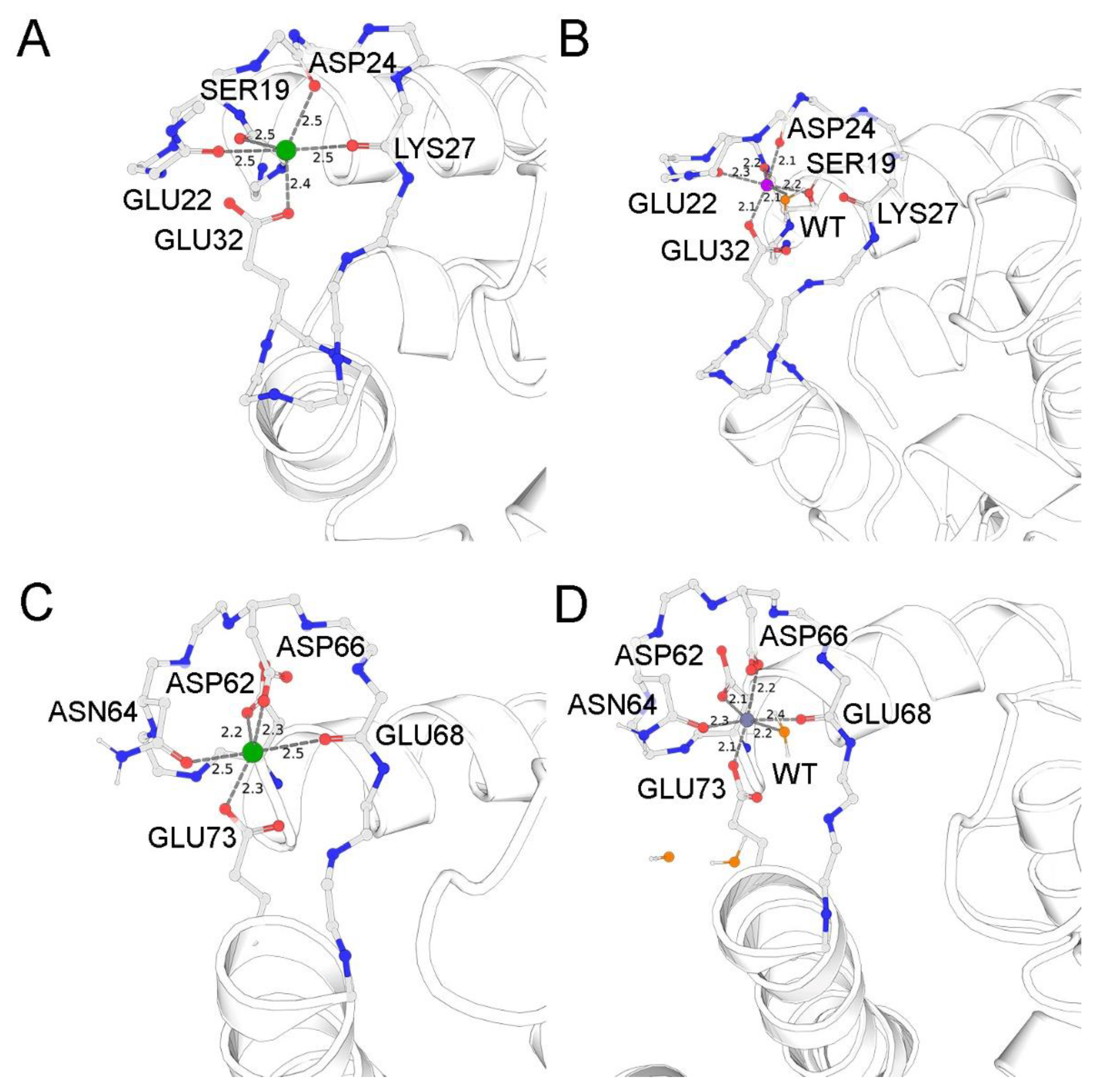 Biomolecules 11 01823 g003
