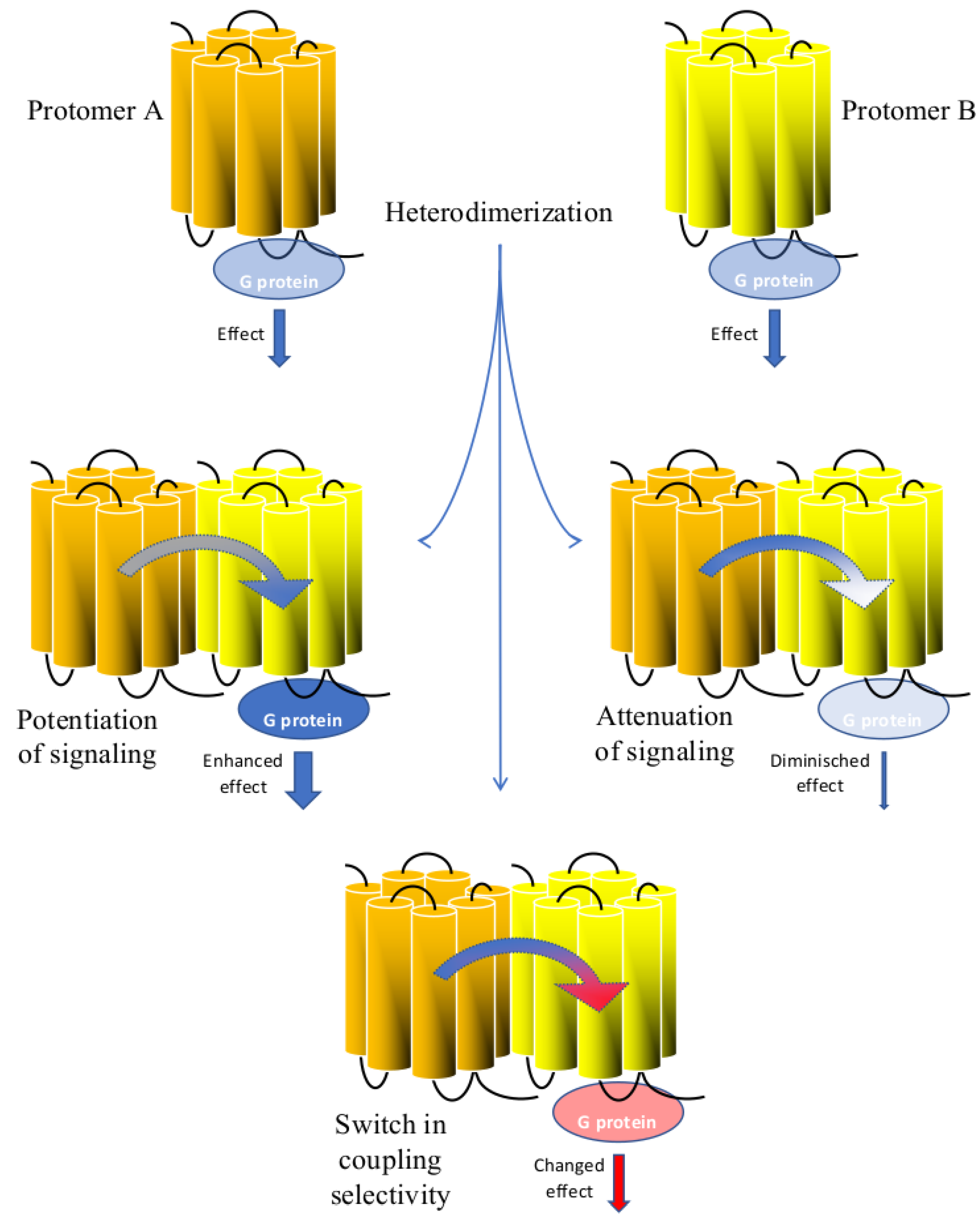 Biomolecules 11 01828 g002