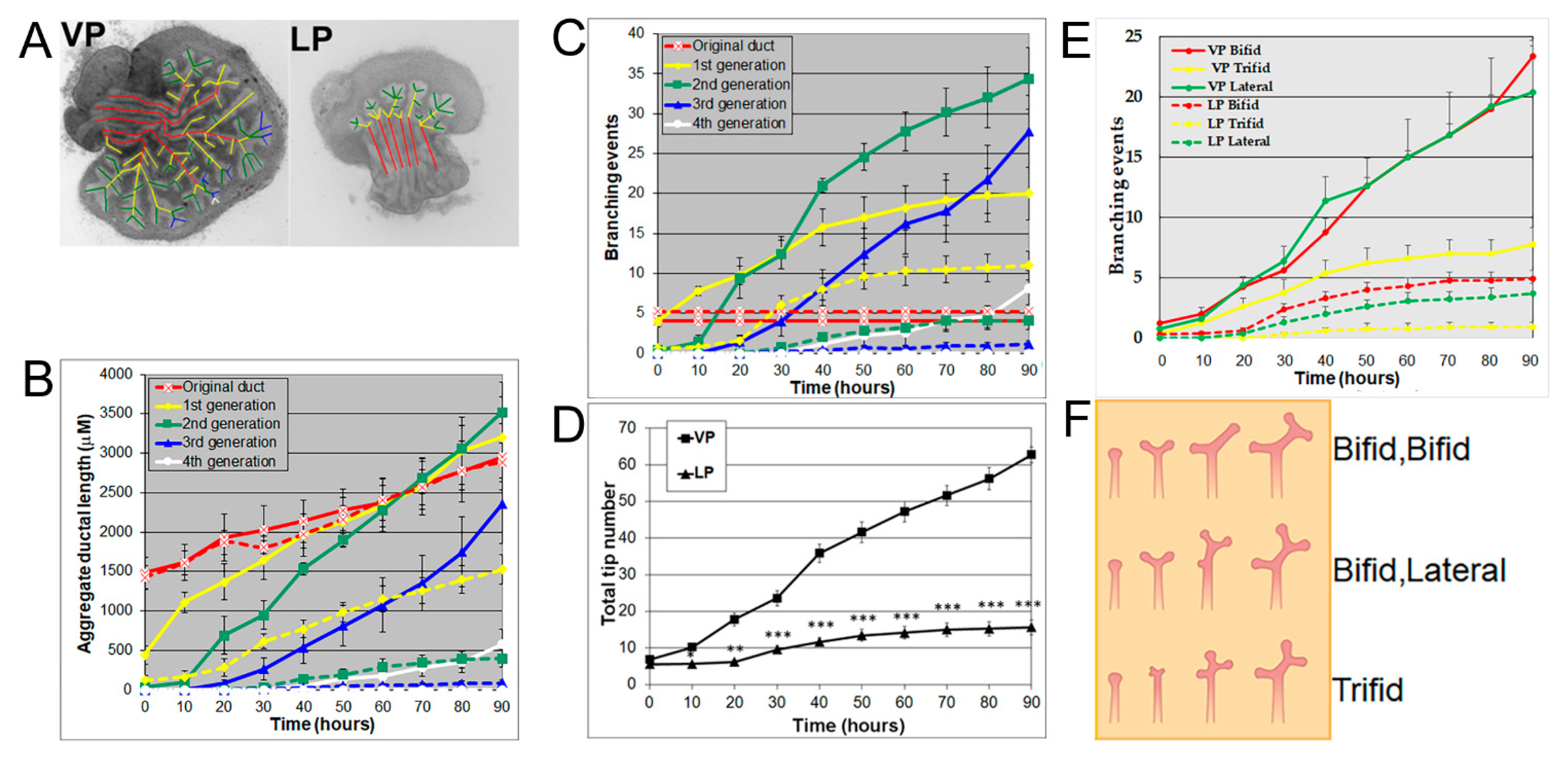 Biomolecules 11 01829 g001 Biomolecules 11 01829 g001
