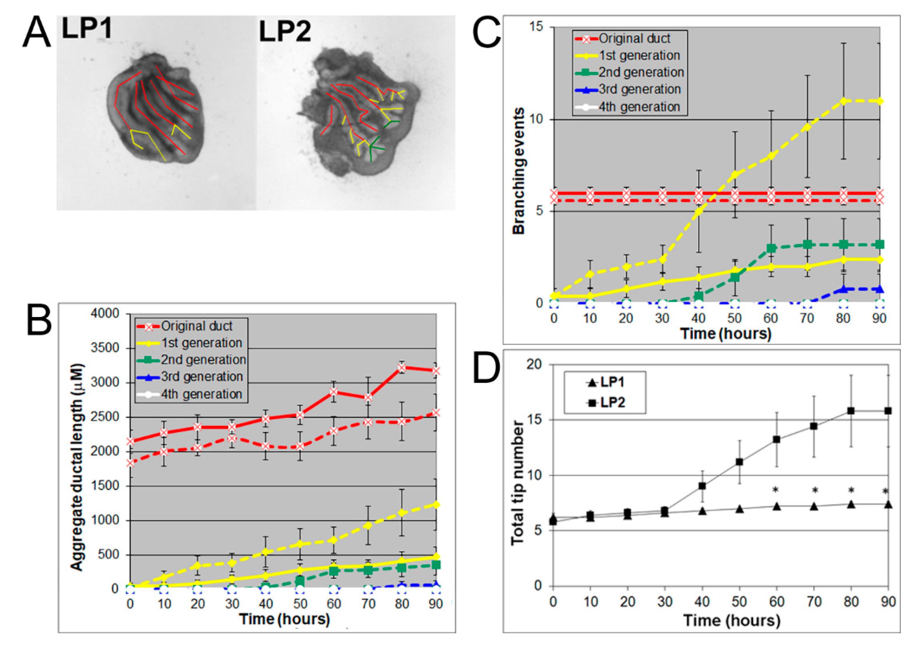Biomolecules 11 01829 g002 Biomolecules 11 01829 g002