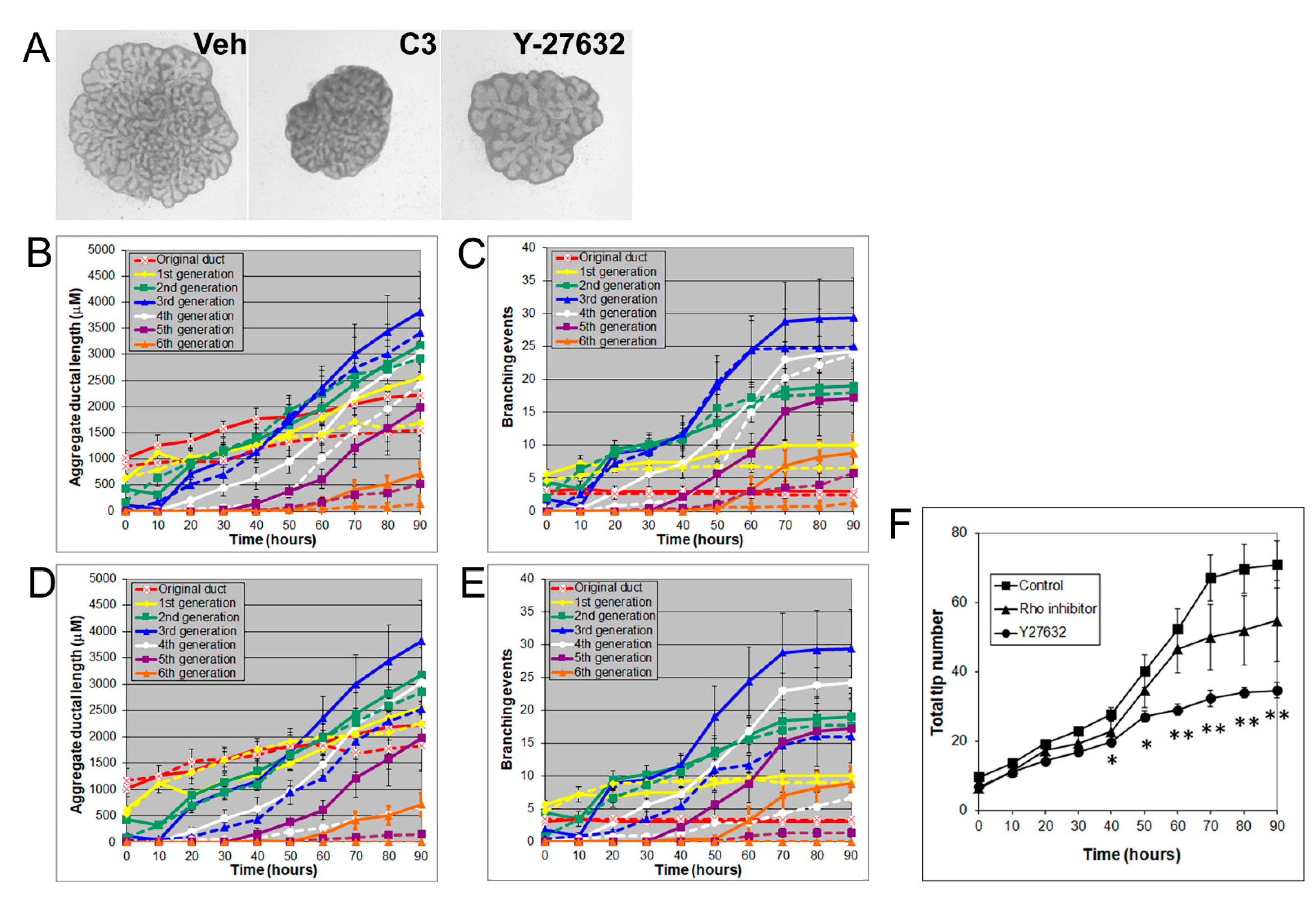 Biomolecules 11 01829 g005 Biomolecules 11 01829 g005