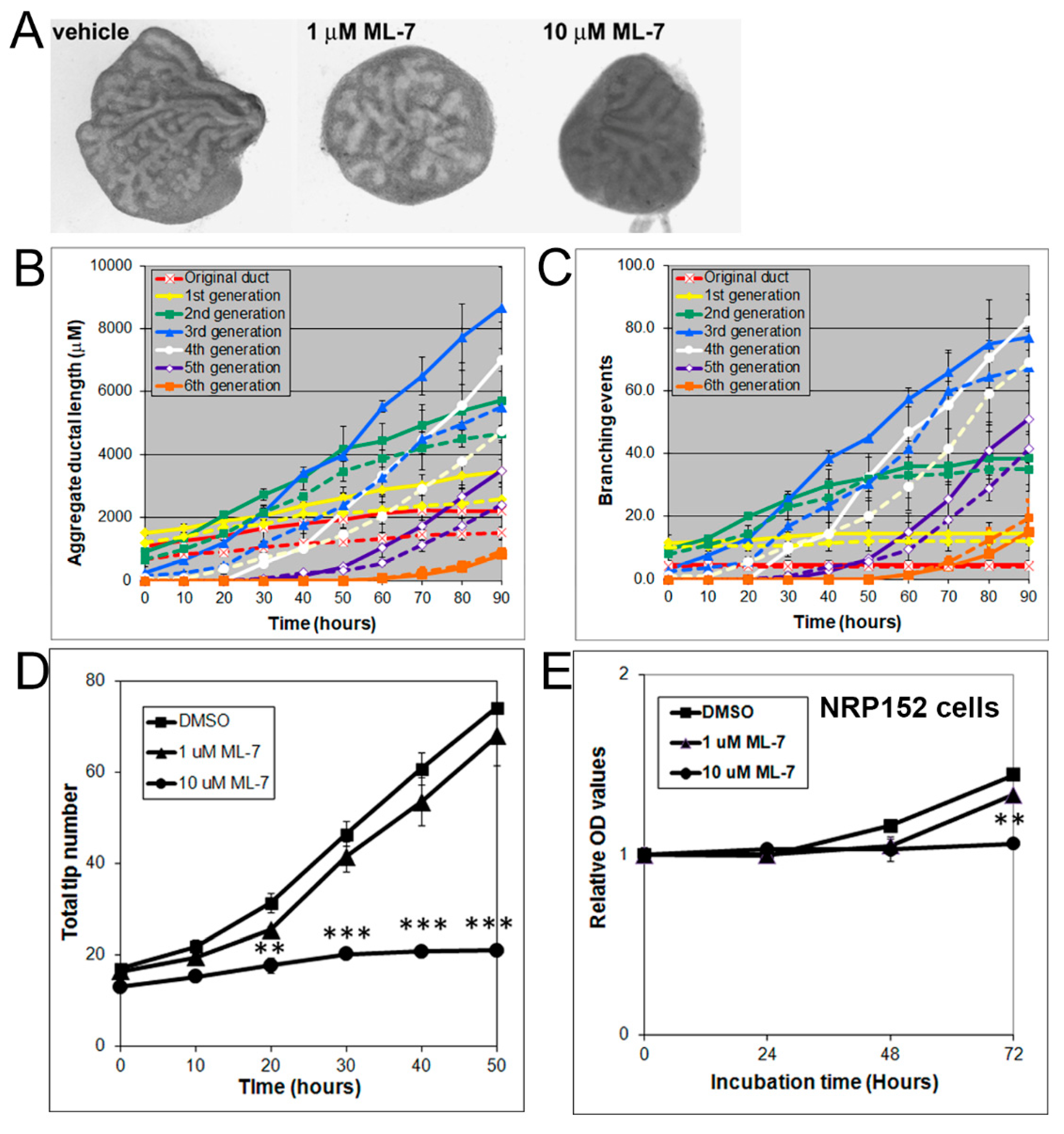 Biomolecules 11 01829 g006 Biomolecules 11 01829 g006