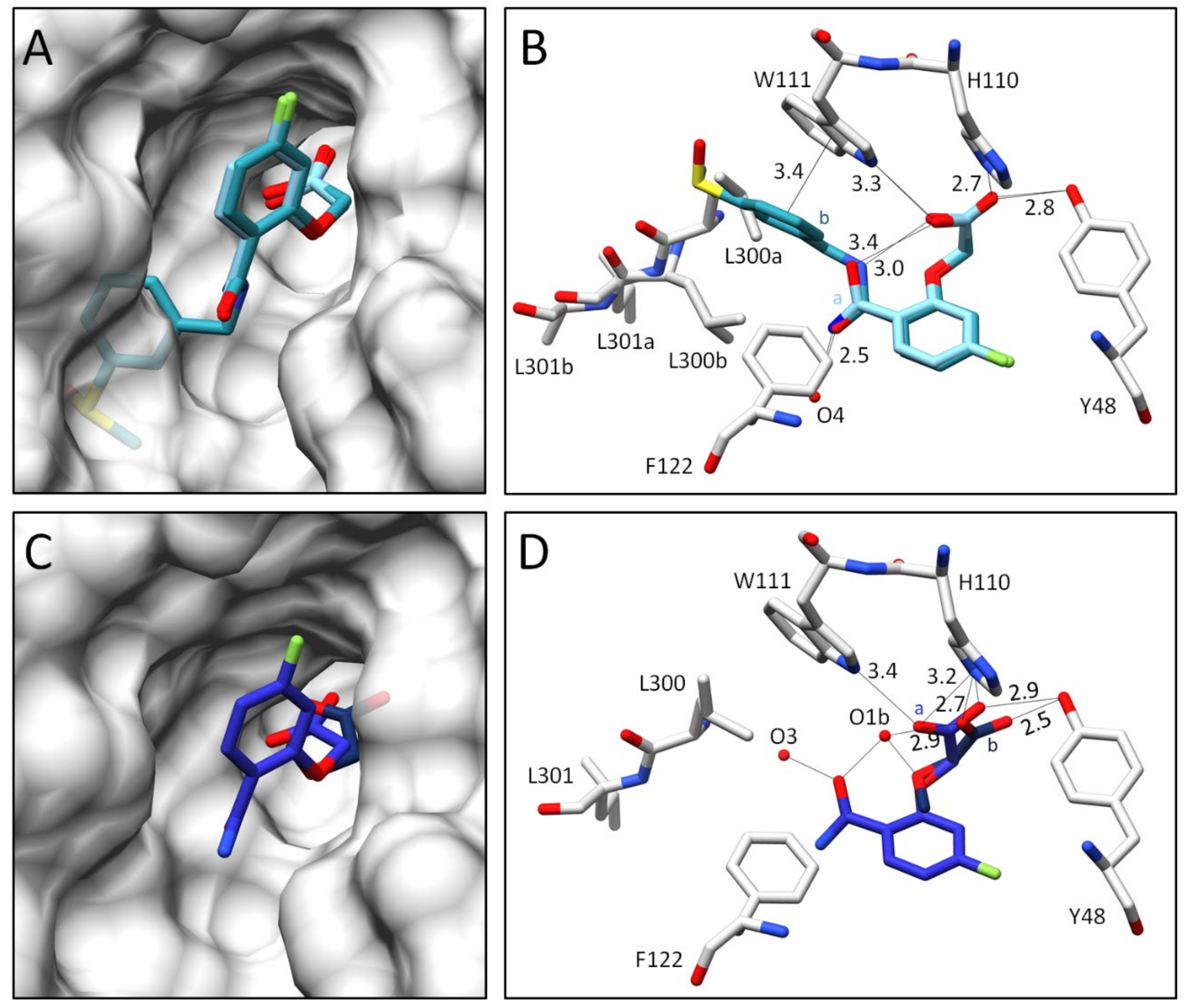 Biomolecules 11 01837 g005