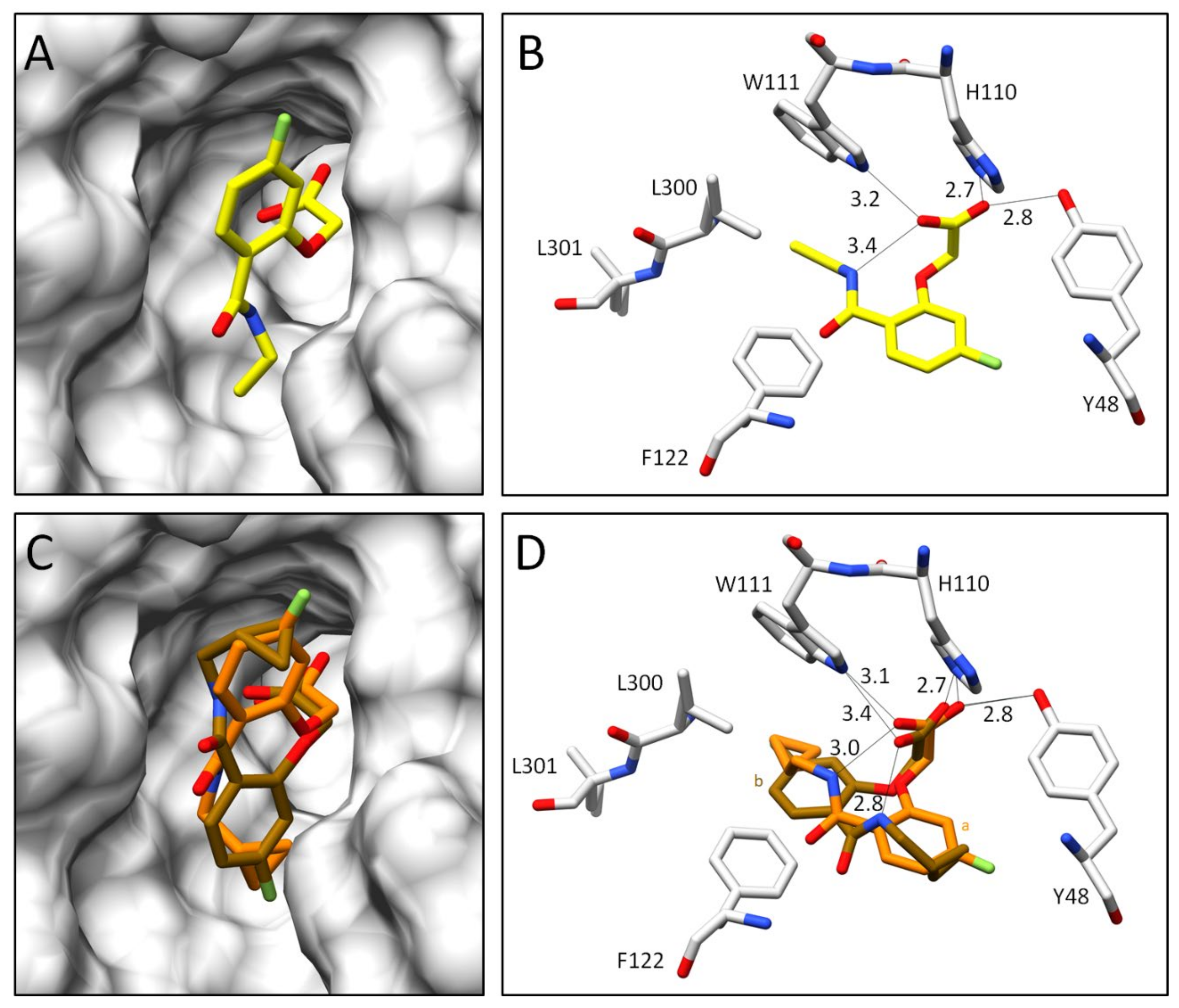 Biomolecules 11 01837 g008