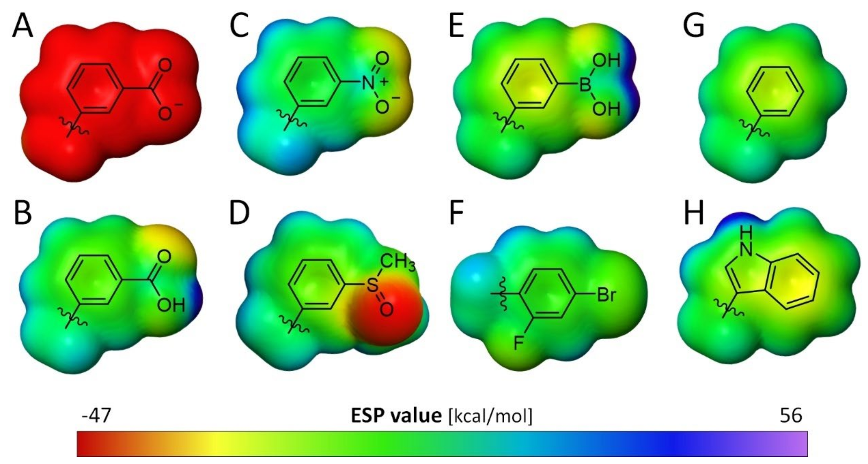 Biomolecules 11 01837 g010