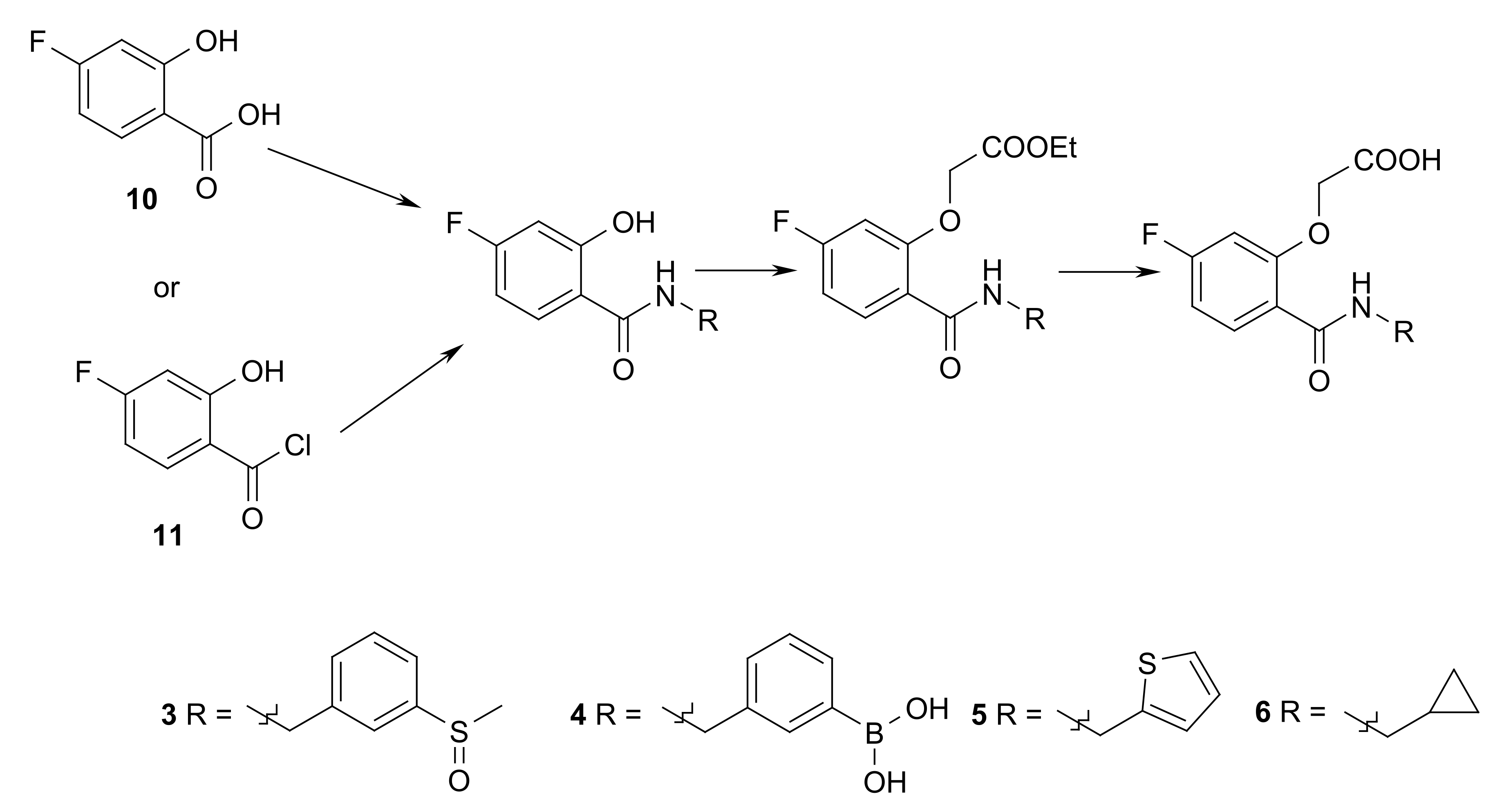 Biomolecules 11 01837 g011