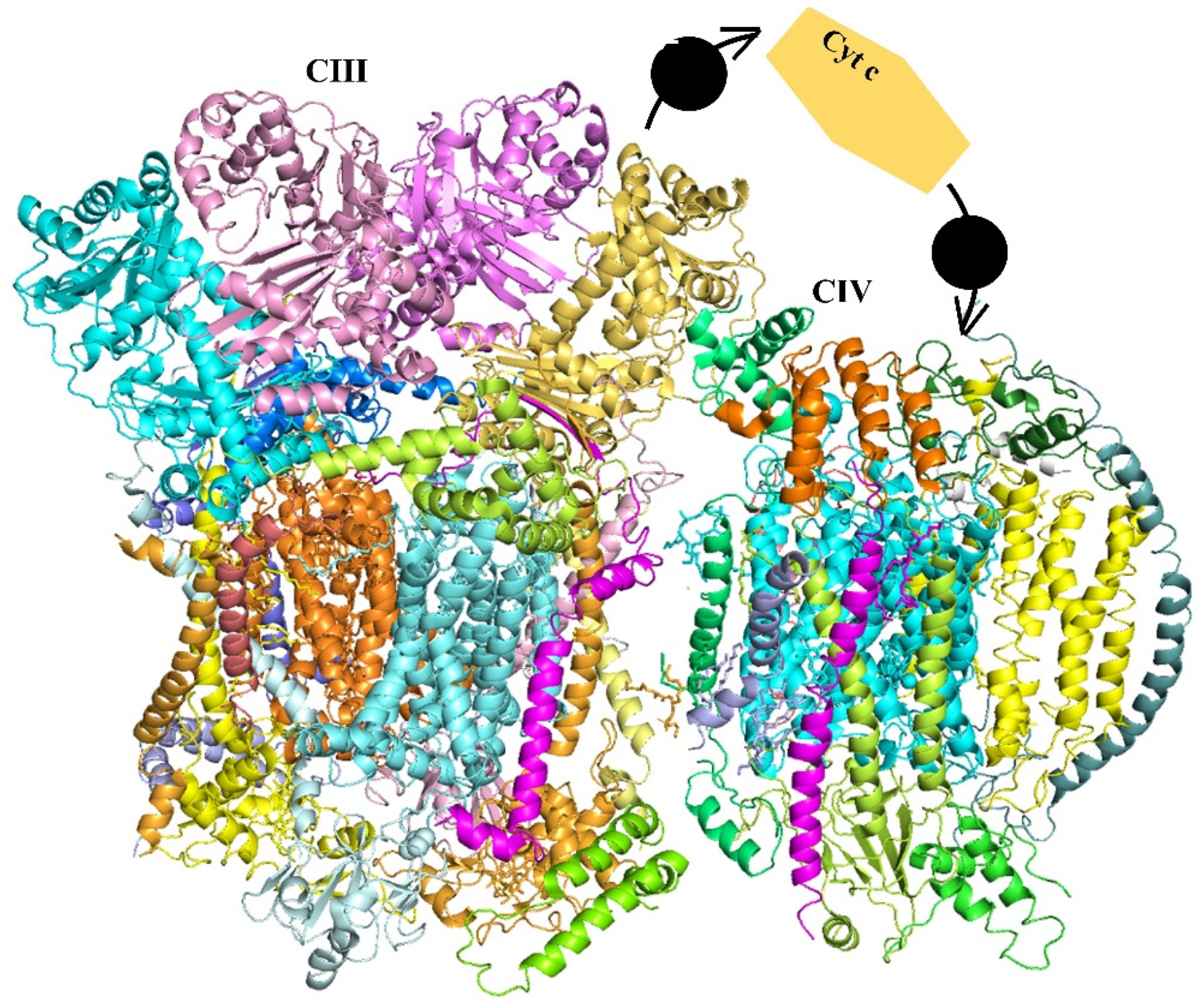 Biomolecules 11 01839 g001