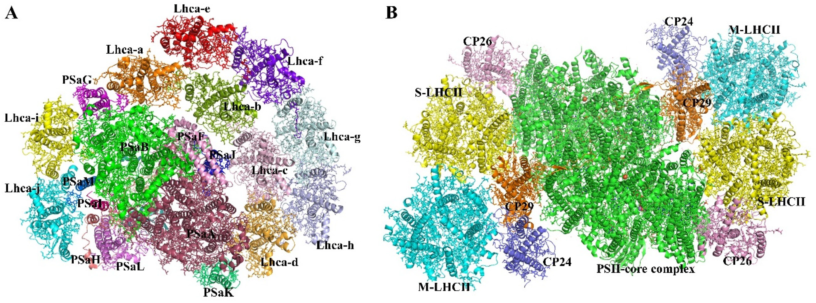 Biomolecules 11 01839 g002