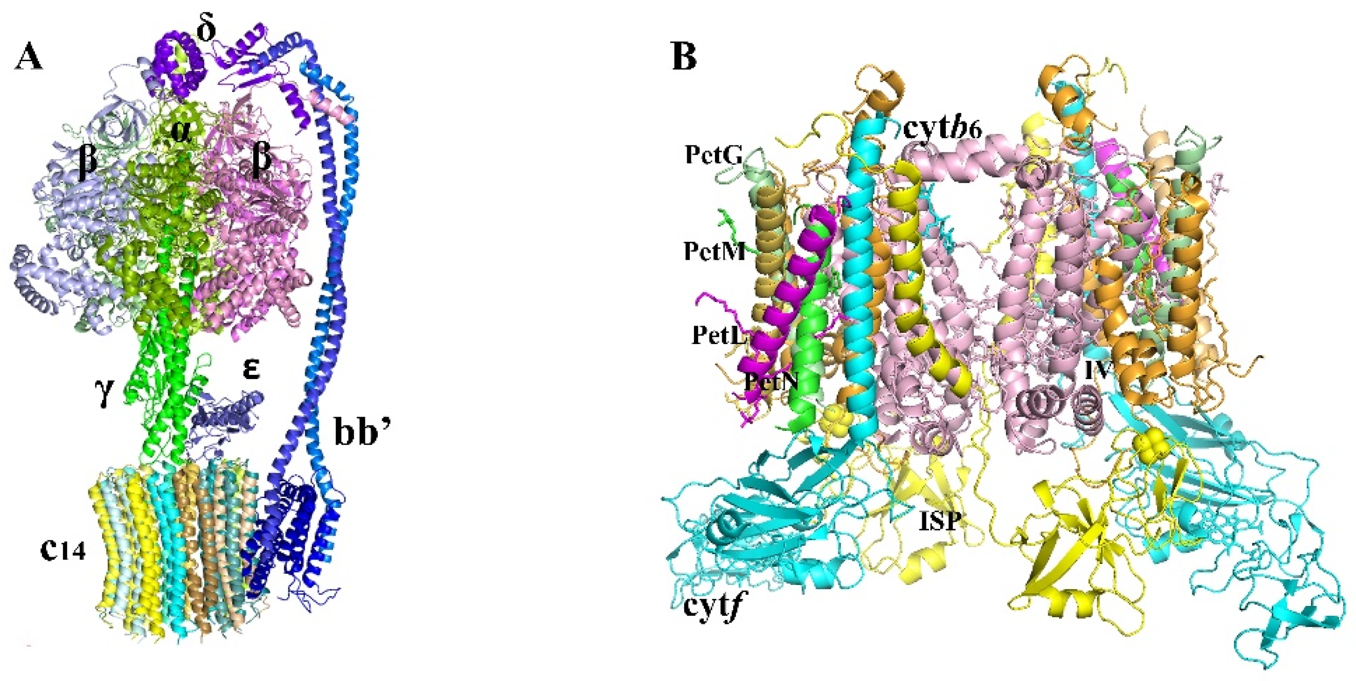 Biomolecules 11 01839 g003