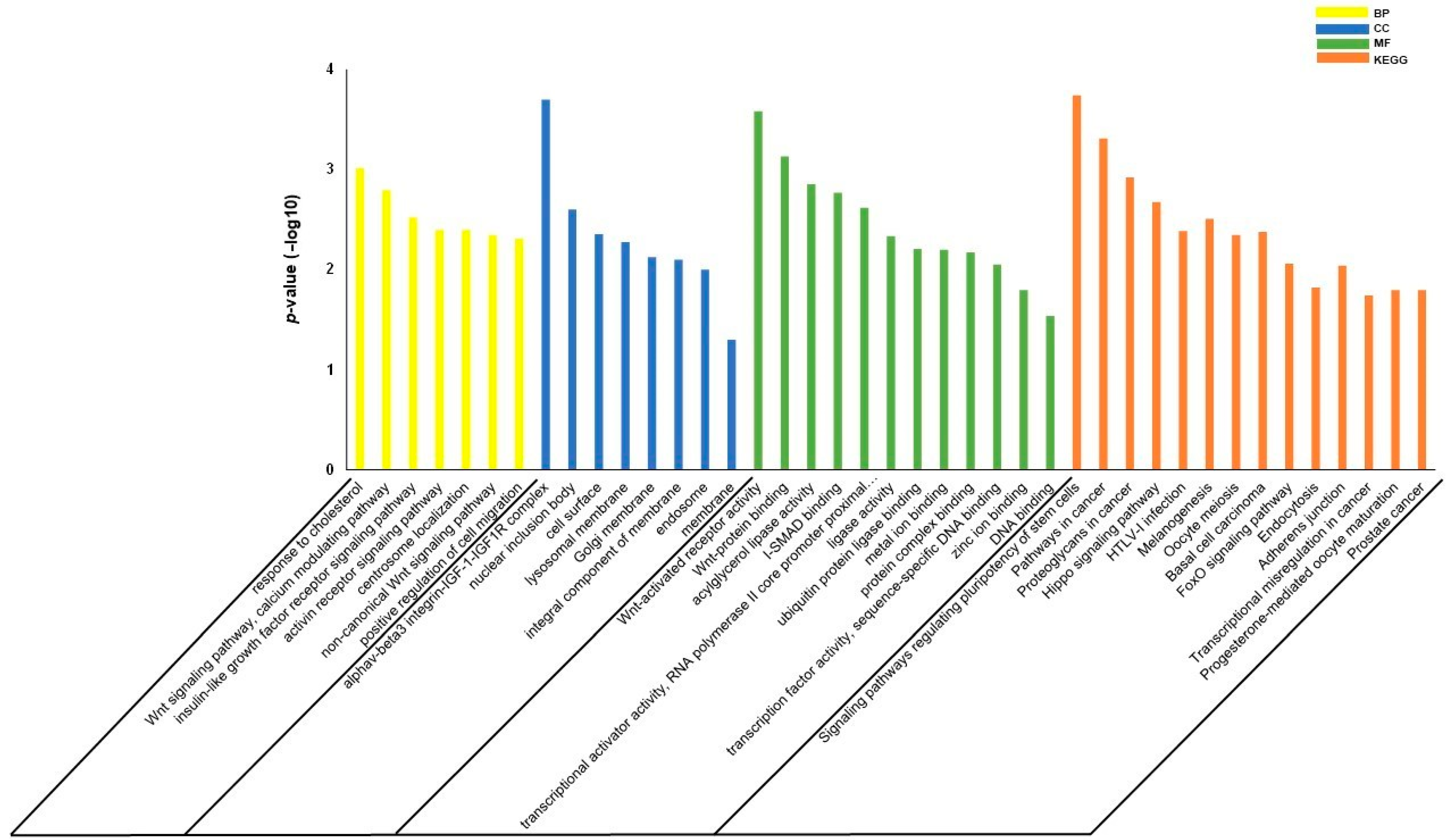 Biomolecules 11 01840 g004