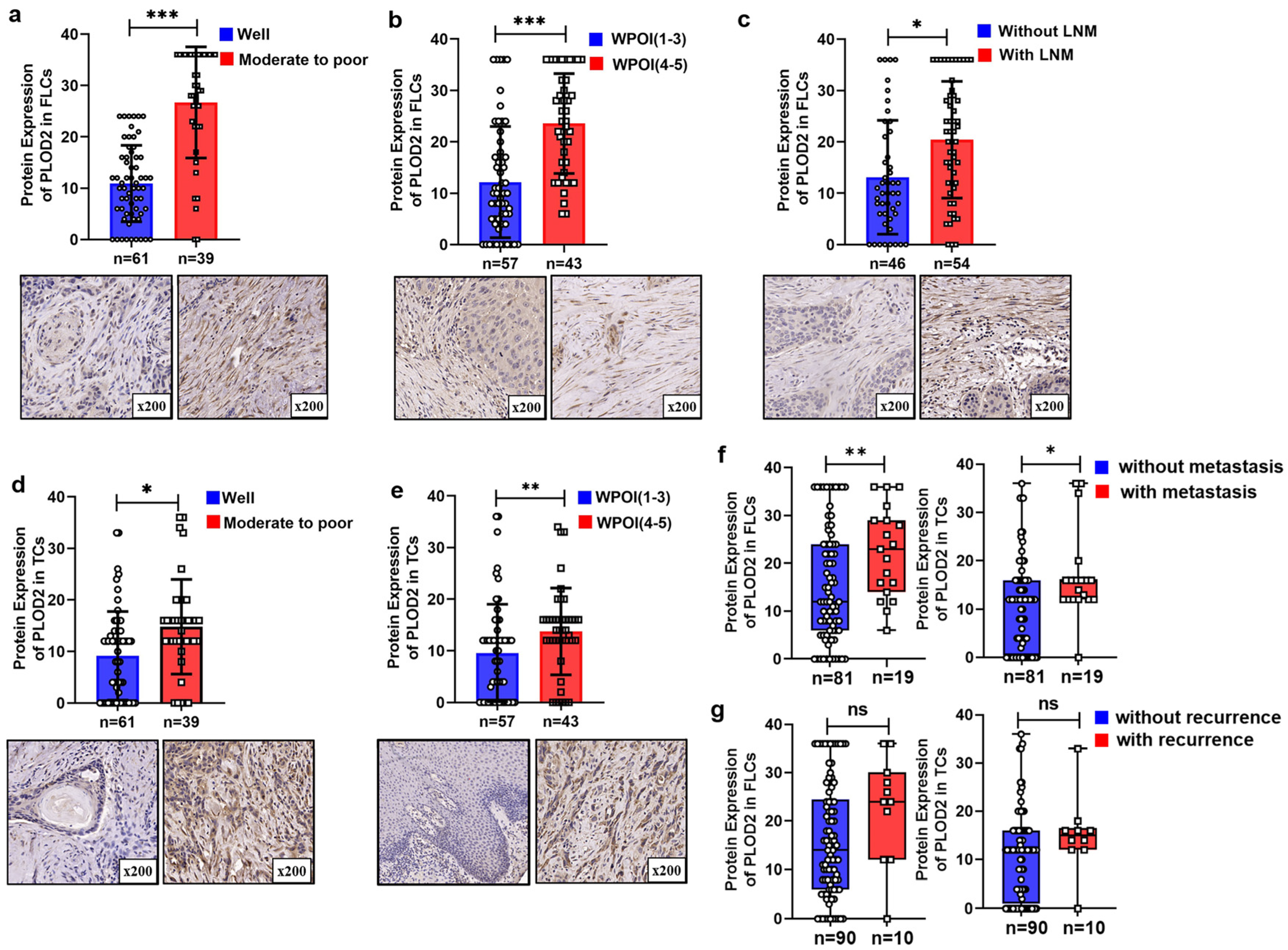 Biomolecules 11 01842 g004