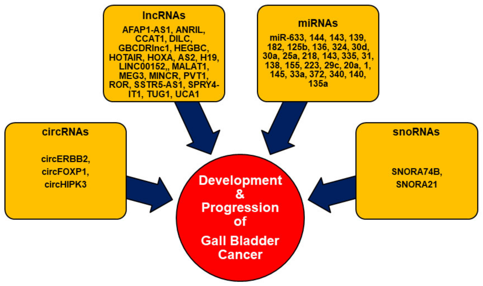 Biomolecules 11 01847 g001