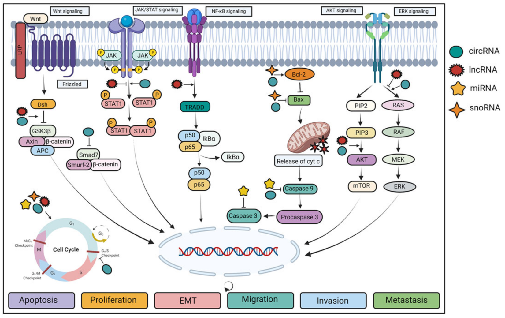 Biomolecules 11 01847 g002