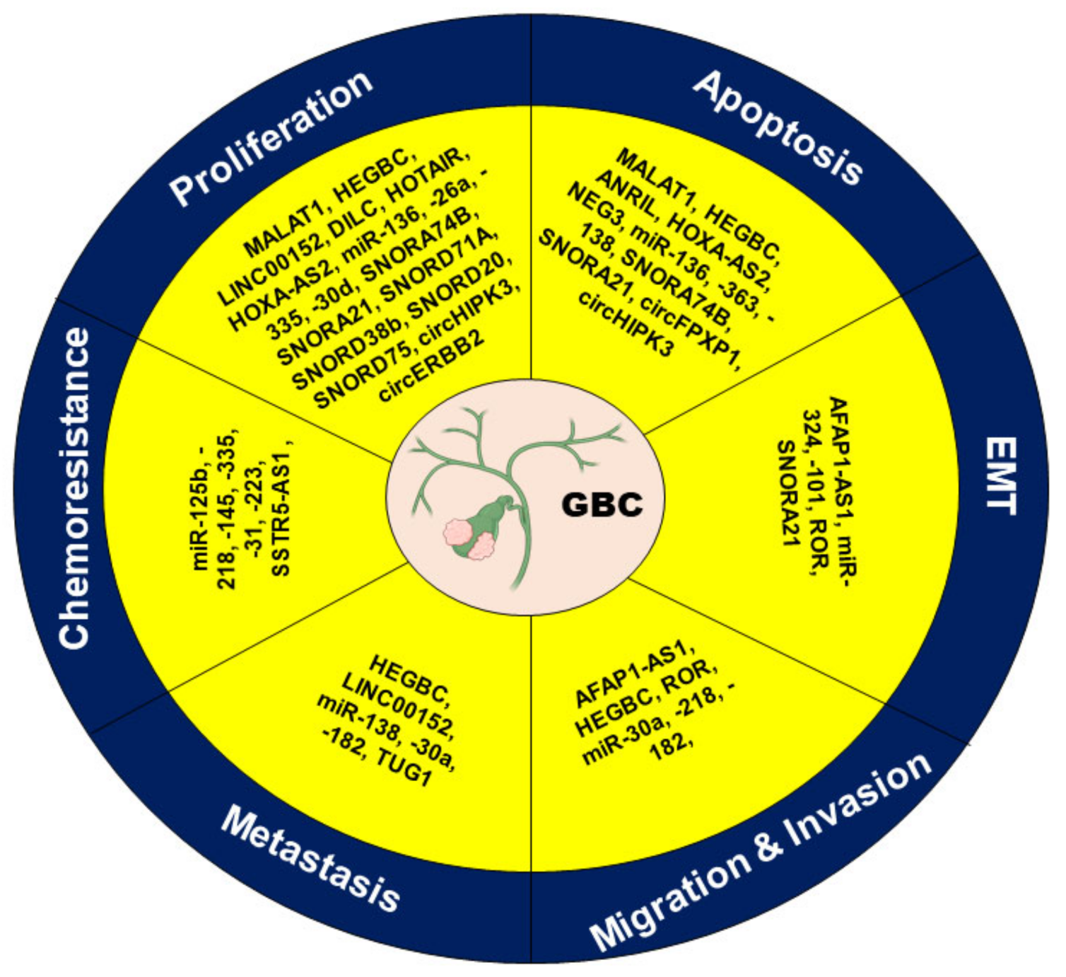 Biomolecules 11 01847 g003
