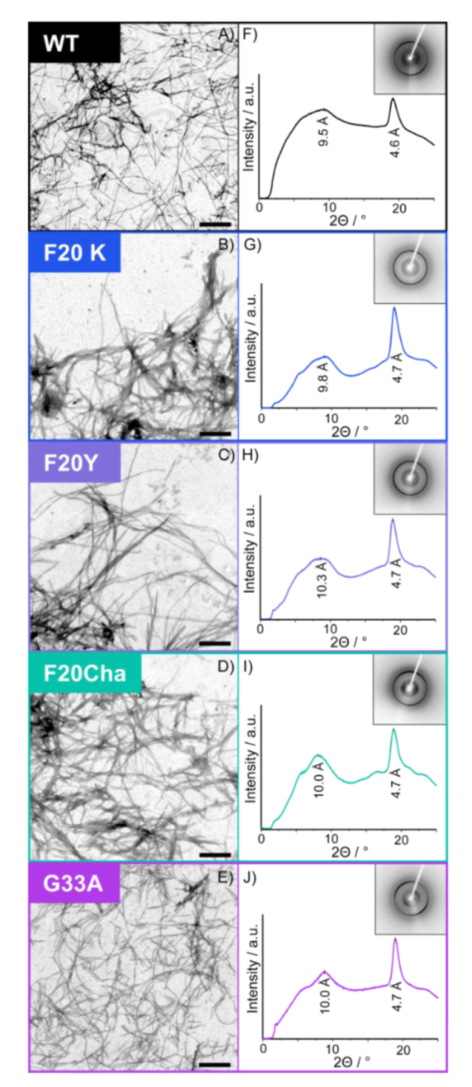 Biomolecules 11 01848 g002