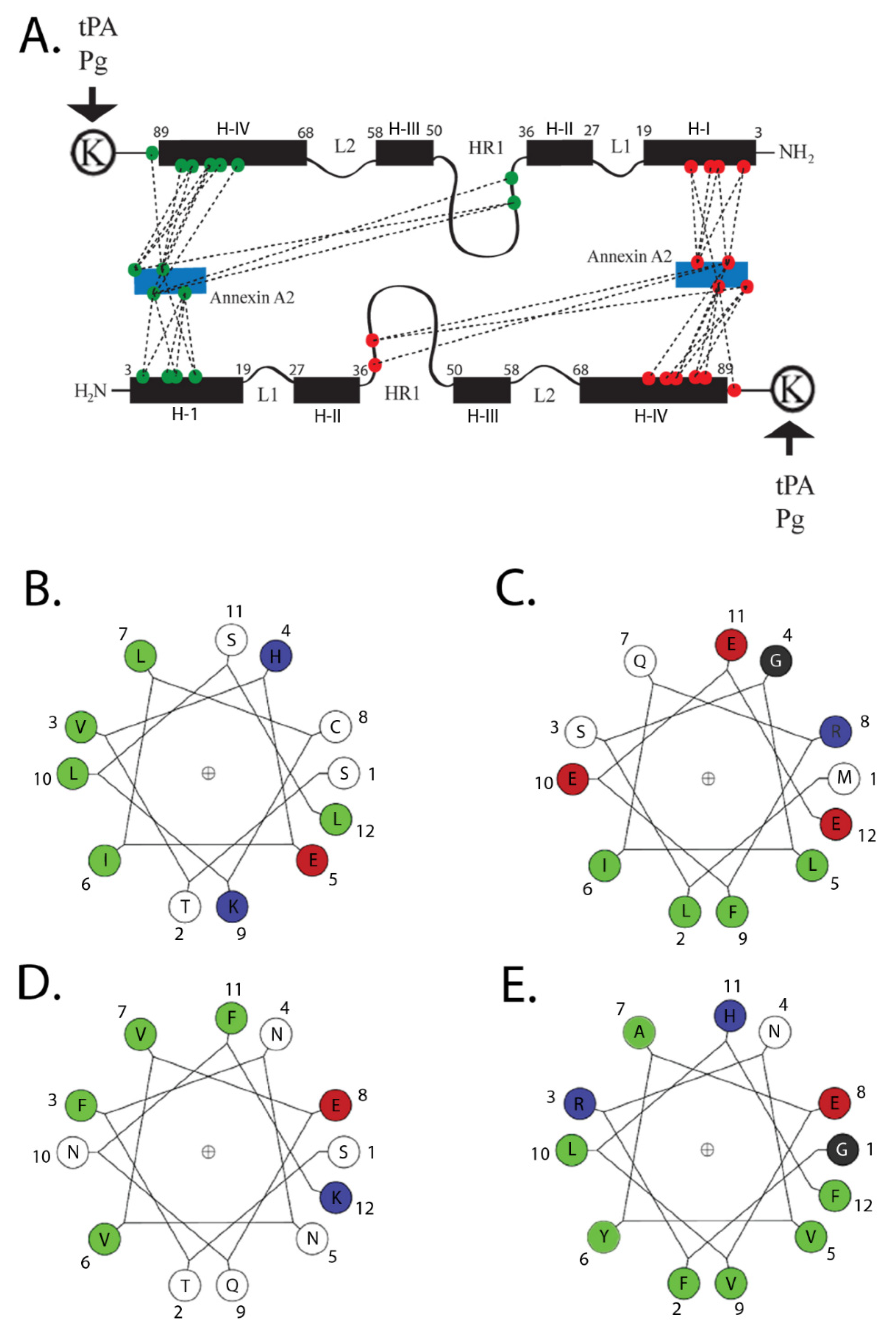 Biomolecules 11 01849 g002