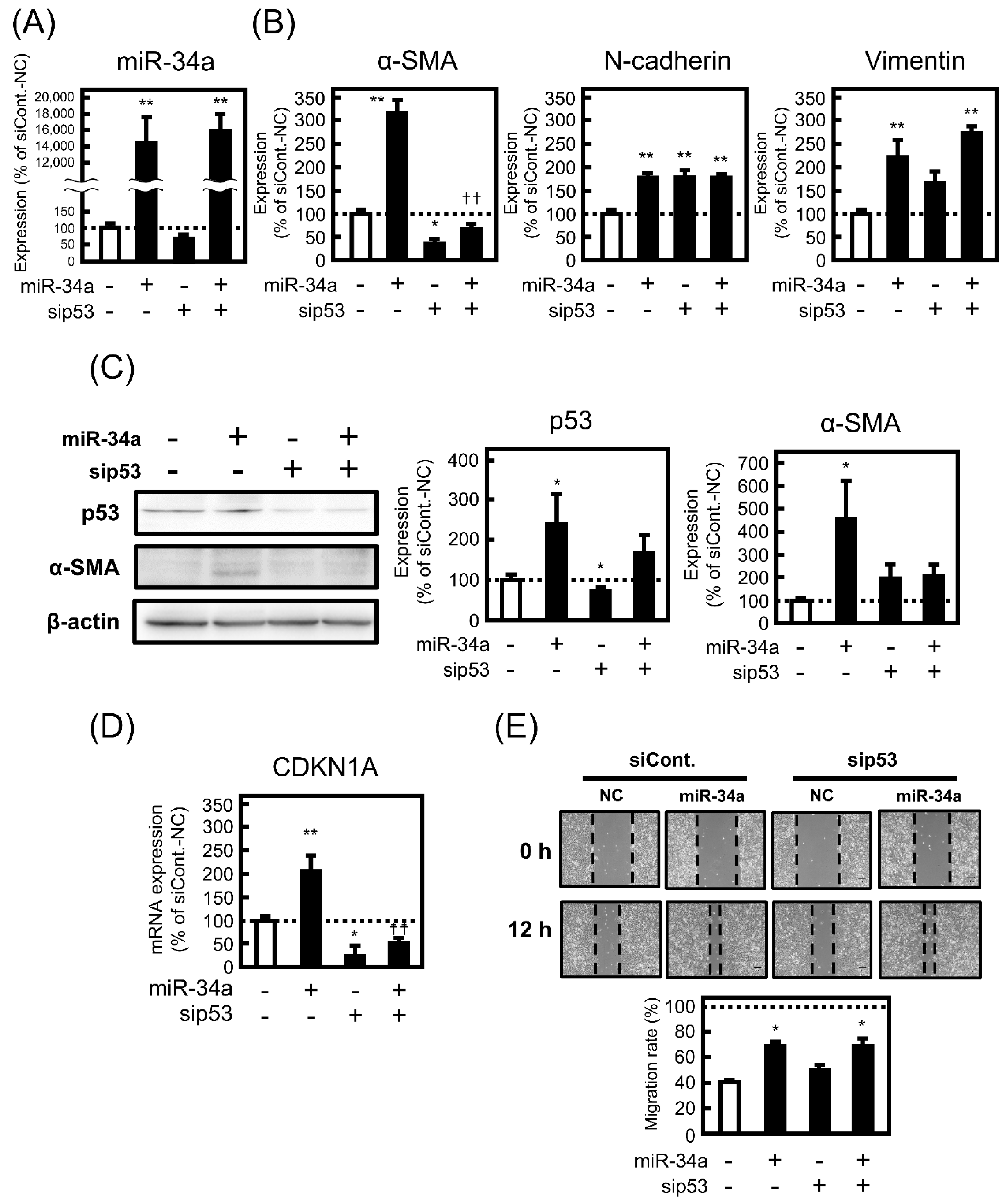 Biomolecules 11 01853 g004