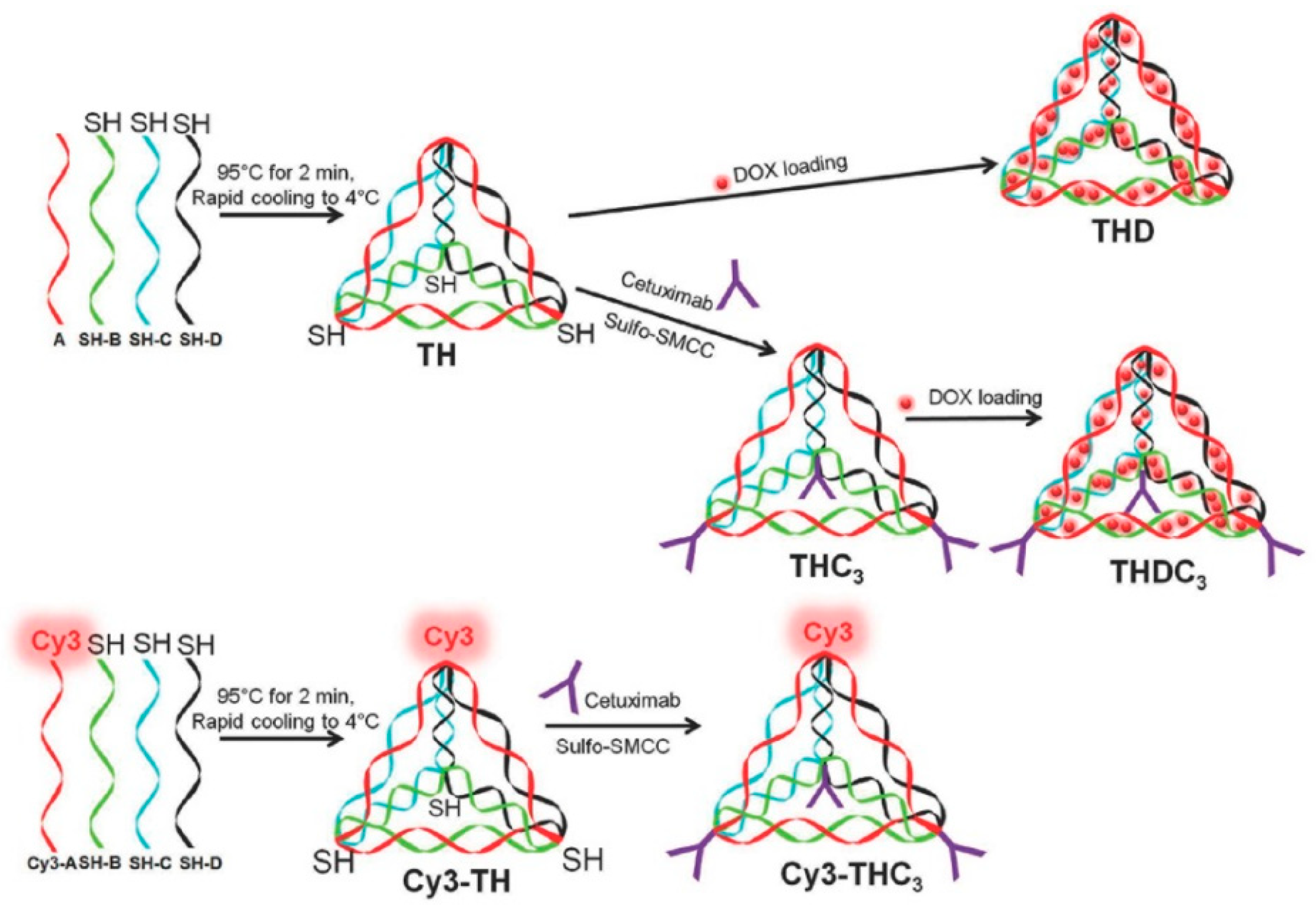 Biomolecules 11 01855 g004