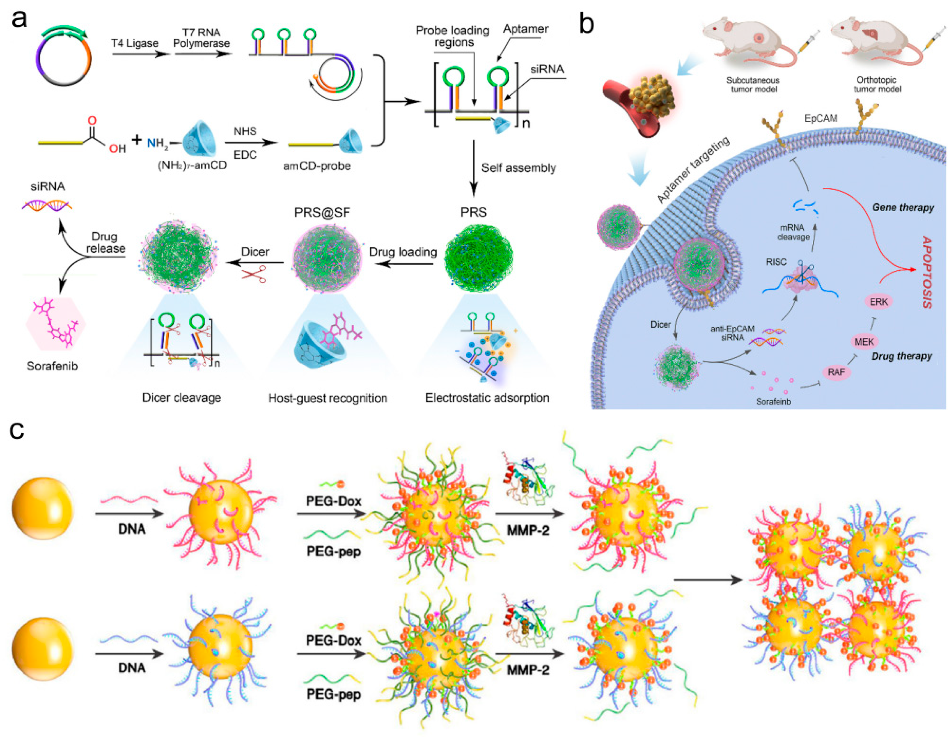 Biomolecules 11 01855 g010