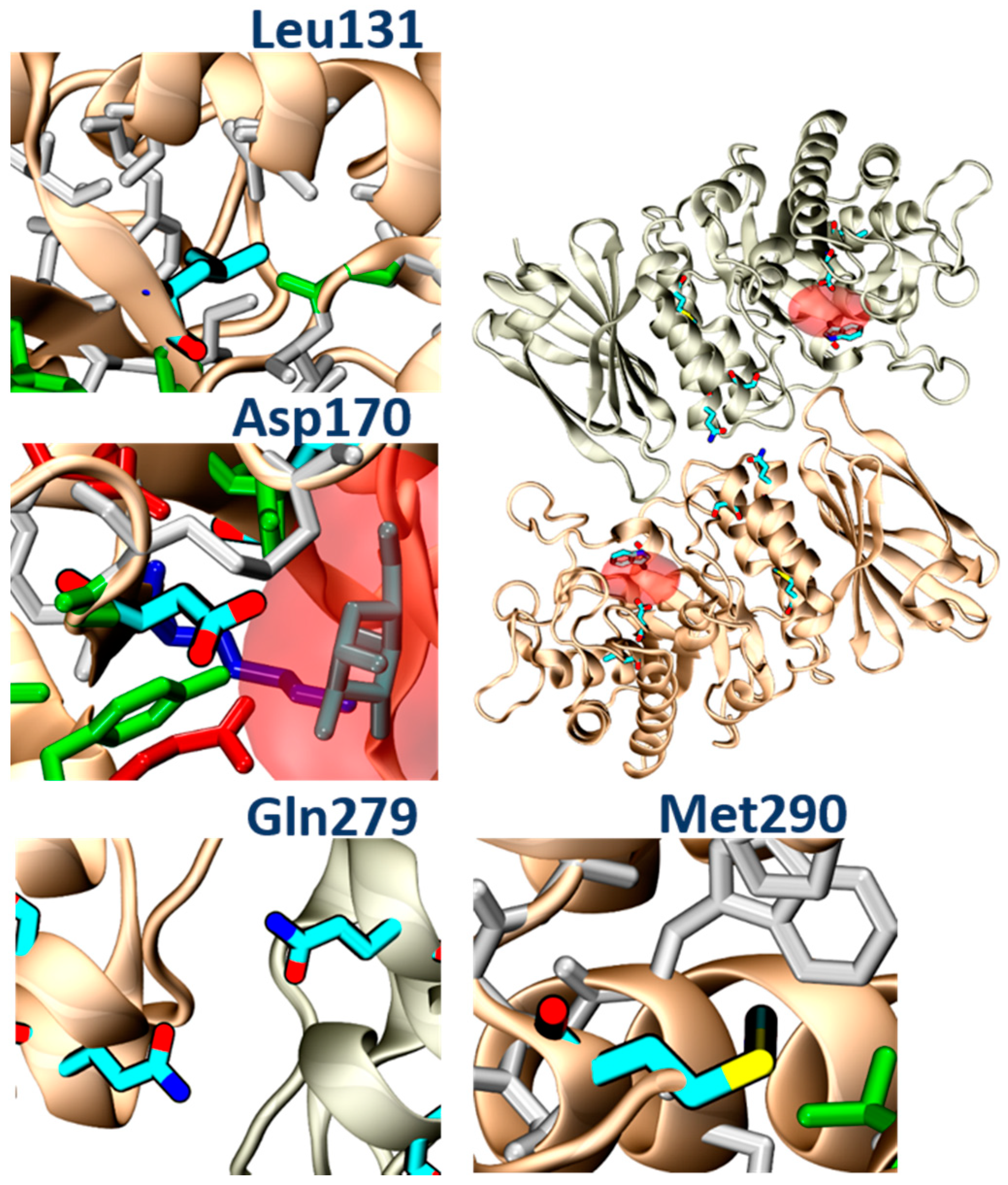 Biomolecules 11 01856 g011