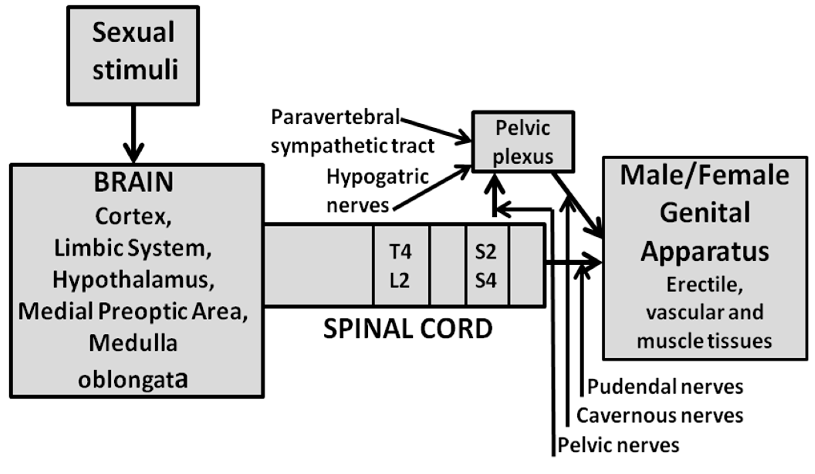 Biomolecules 11 01866 g001