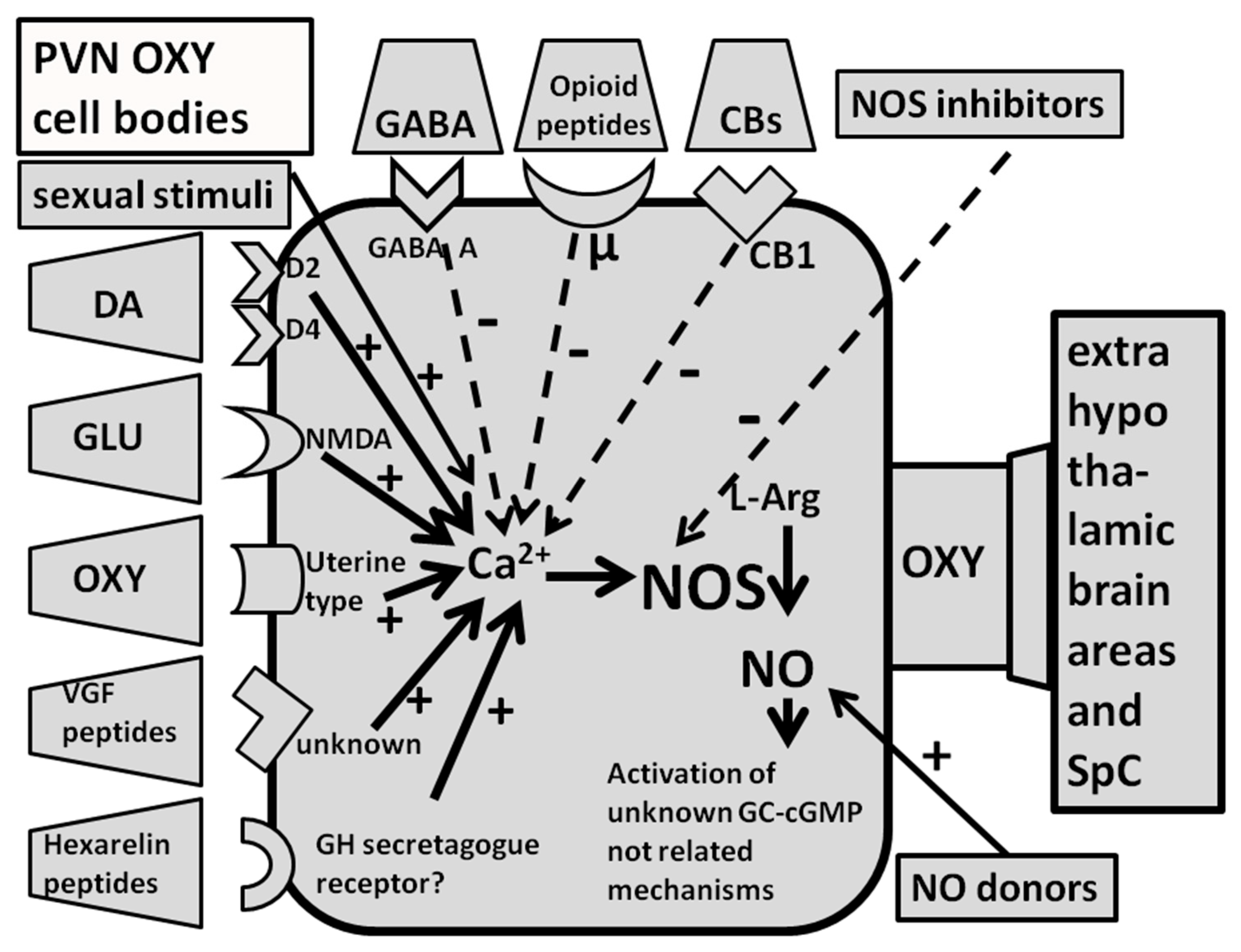Biomolecules 11 01866 g002