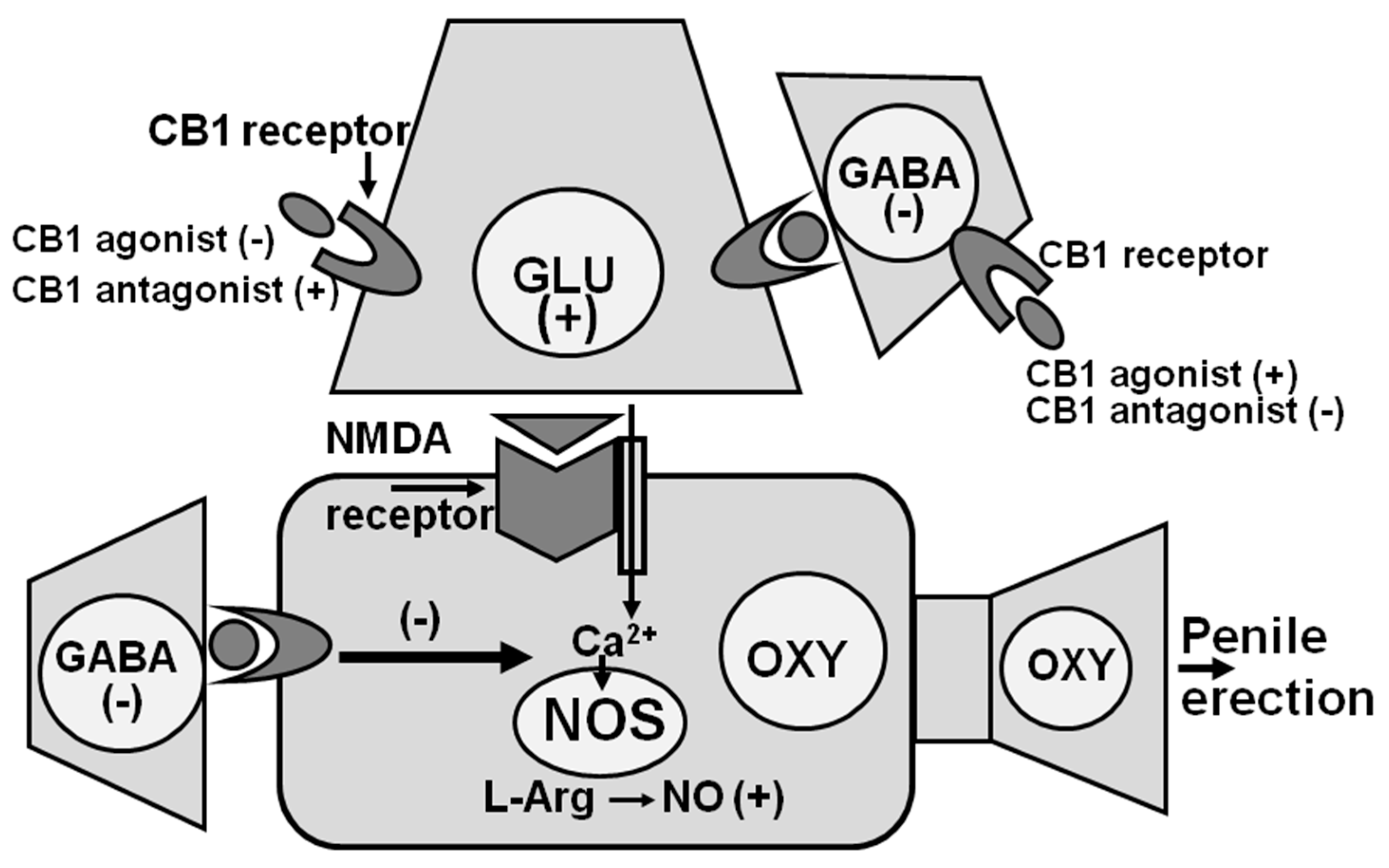 Biomolecules 11 01866 g003