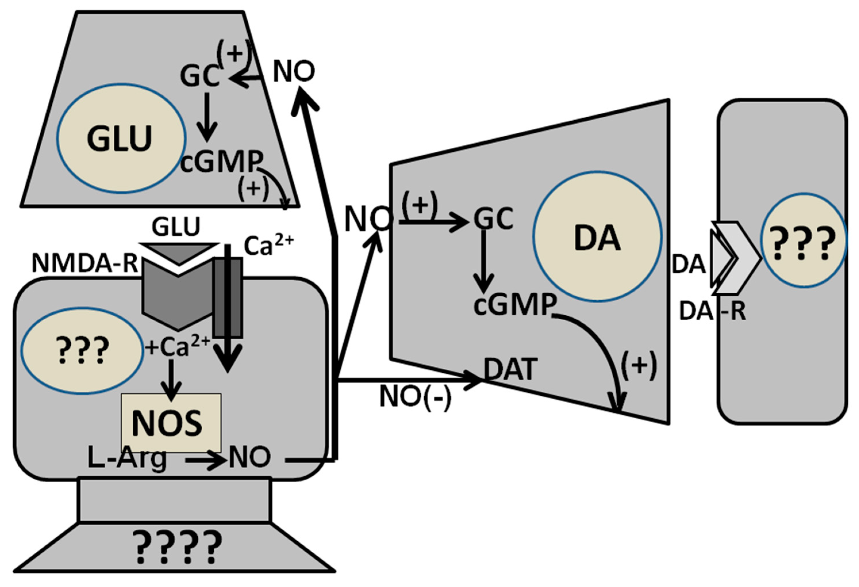 Biomolecules 11 01866 g005