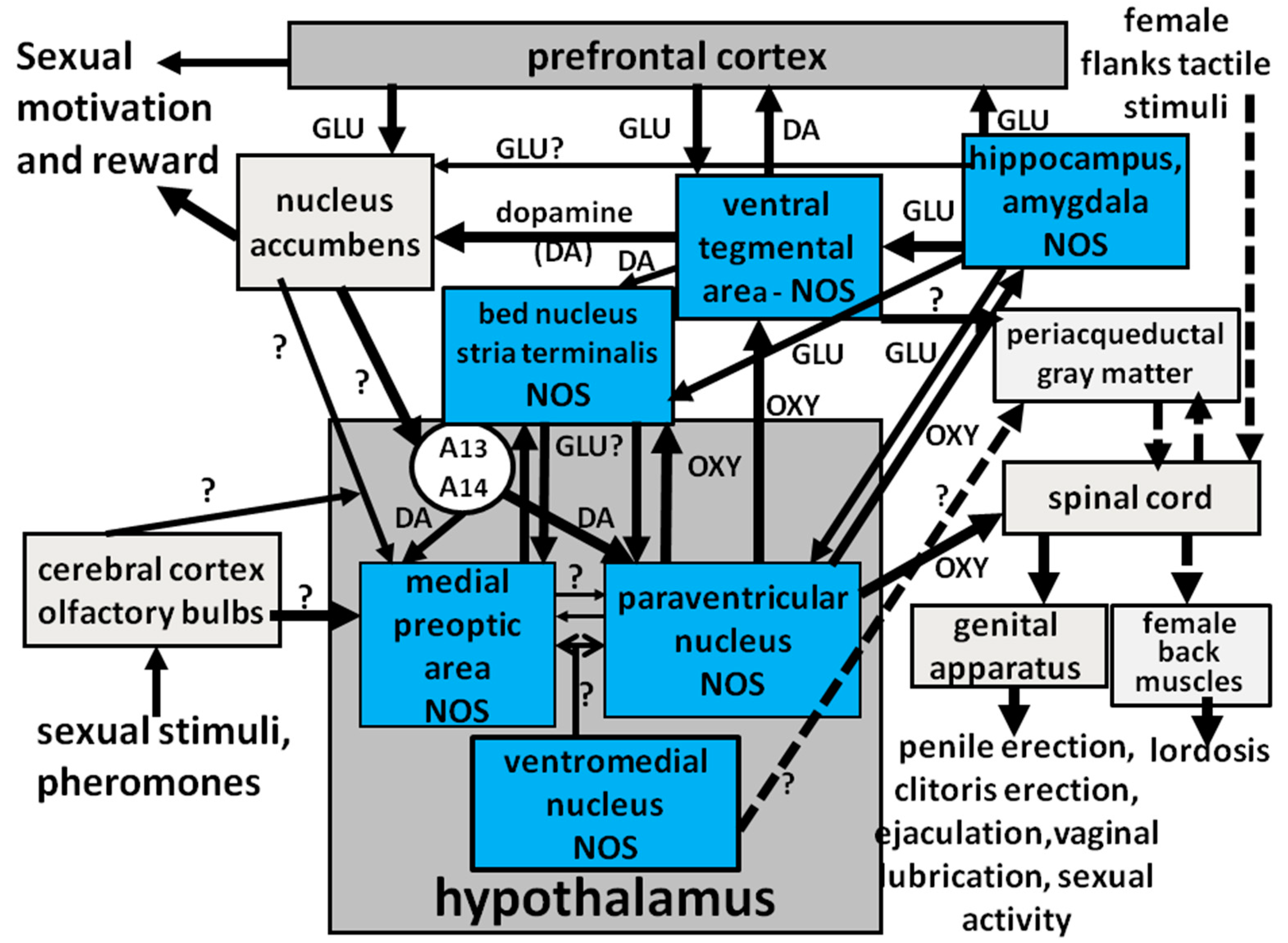 Biomolecules 11 01866 g006