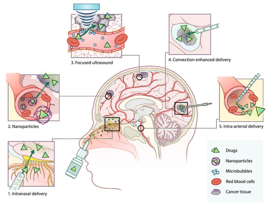 Biomolecules 11 01870 g001