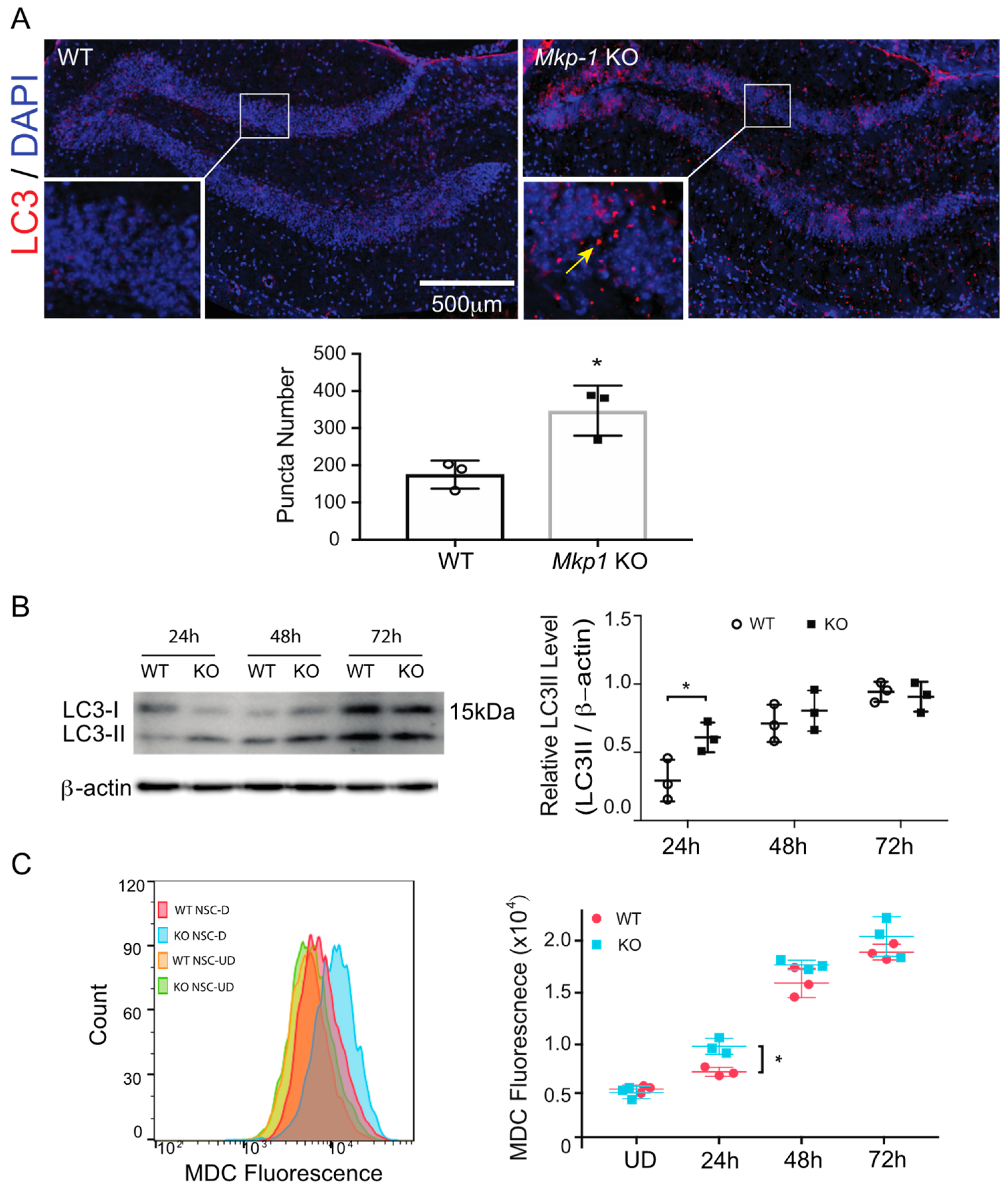 Biomolecules 11 01871 g003