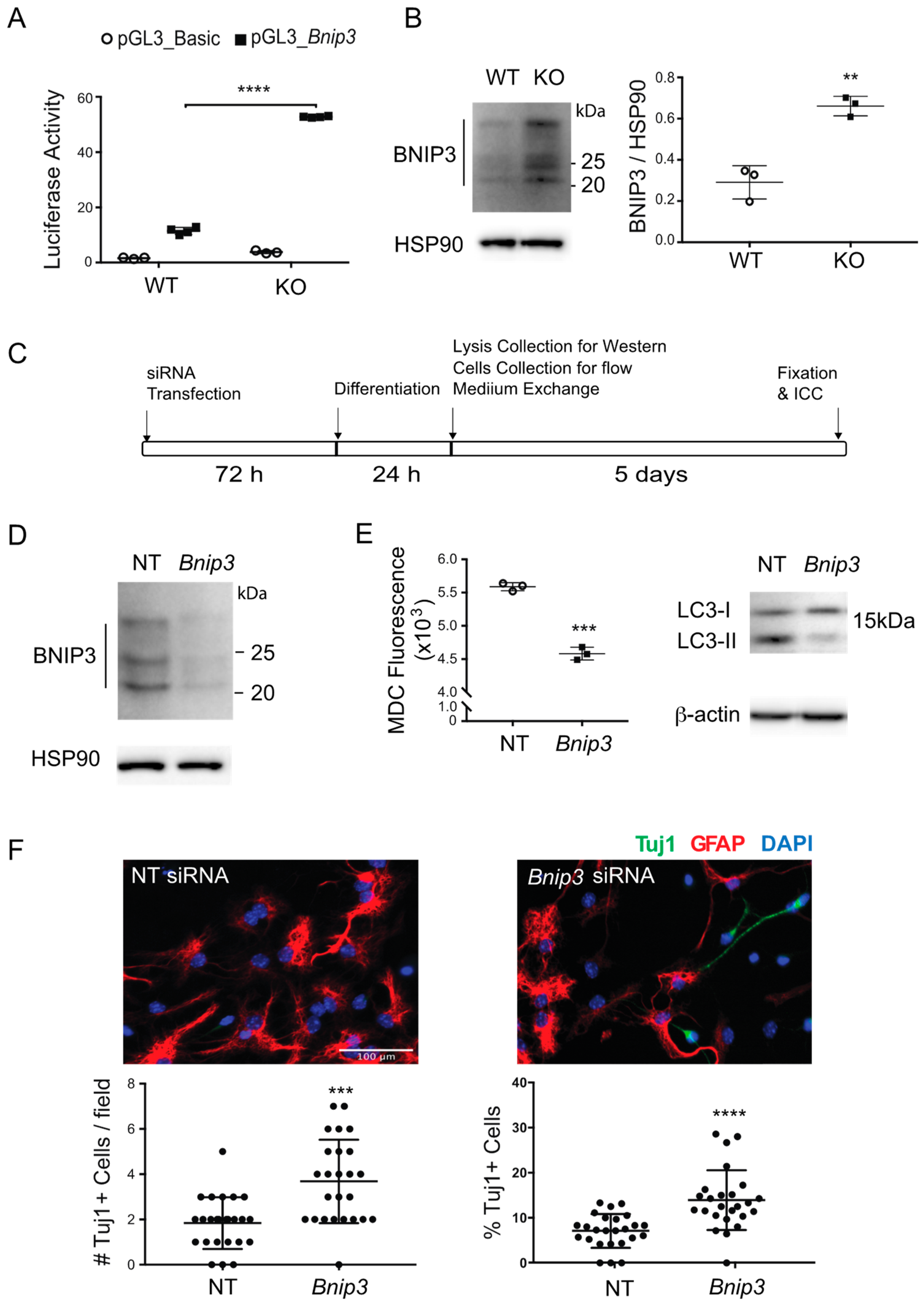 Biomolecules 11 01871 g005