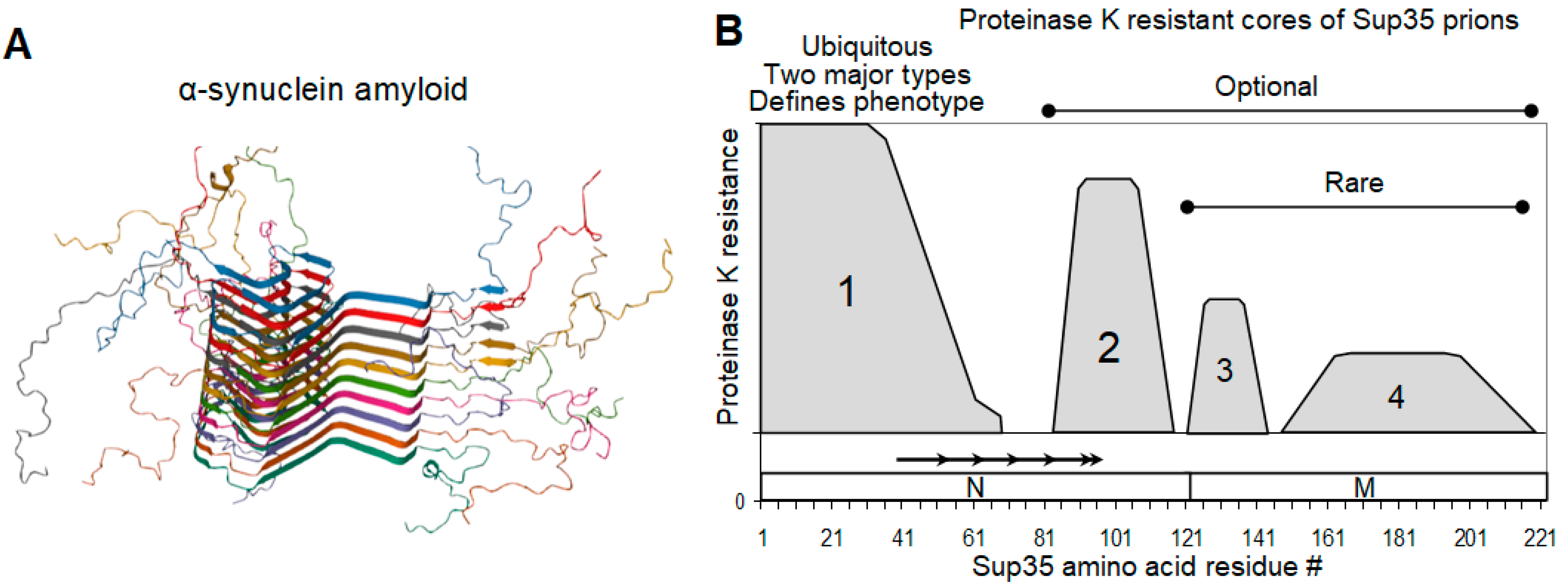 Biomolecules 11 01884 g001