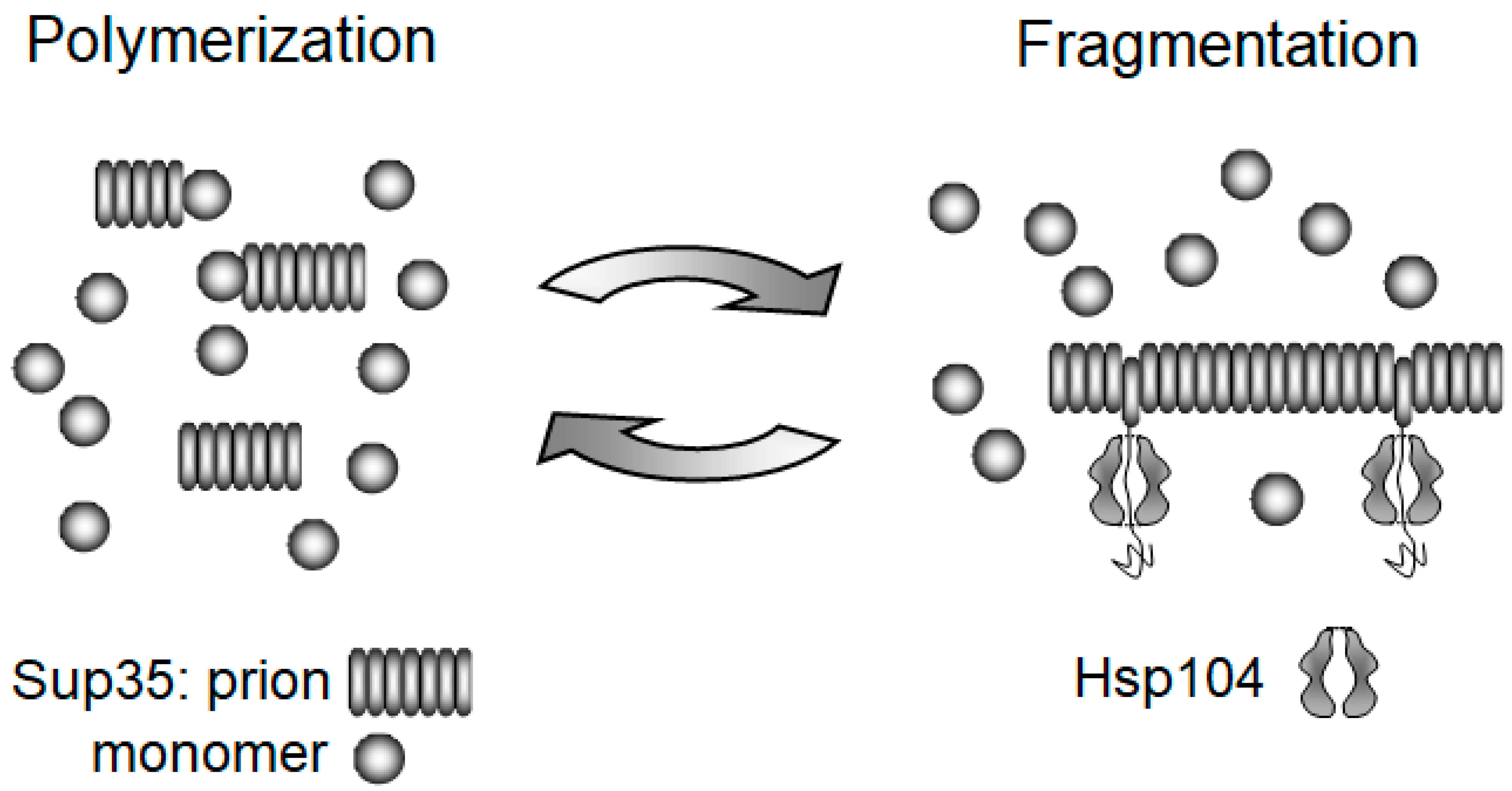 Biomolecules 11 01884 g002