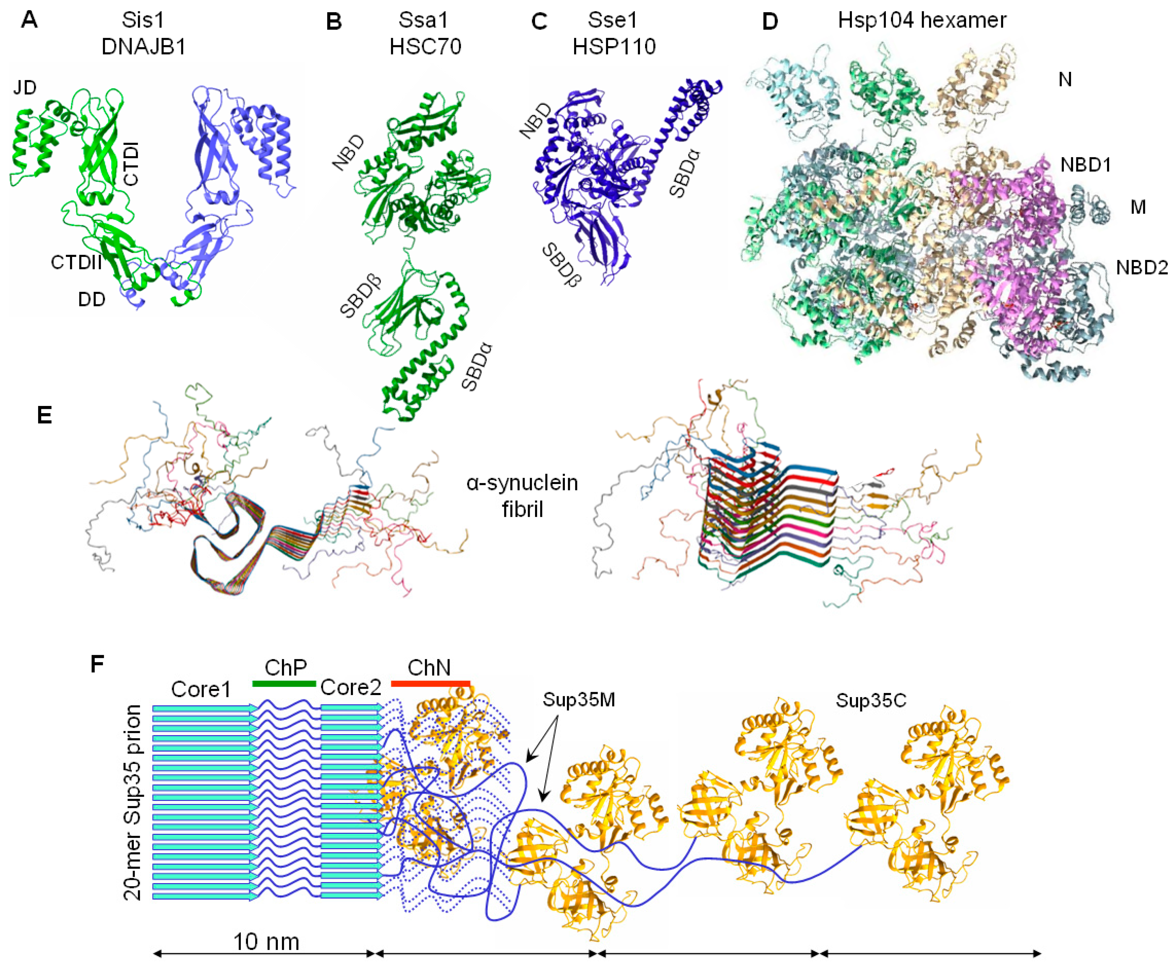 Biomolecules 11 01884 g003