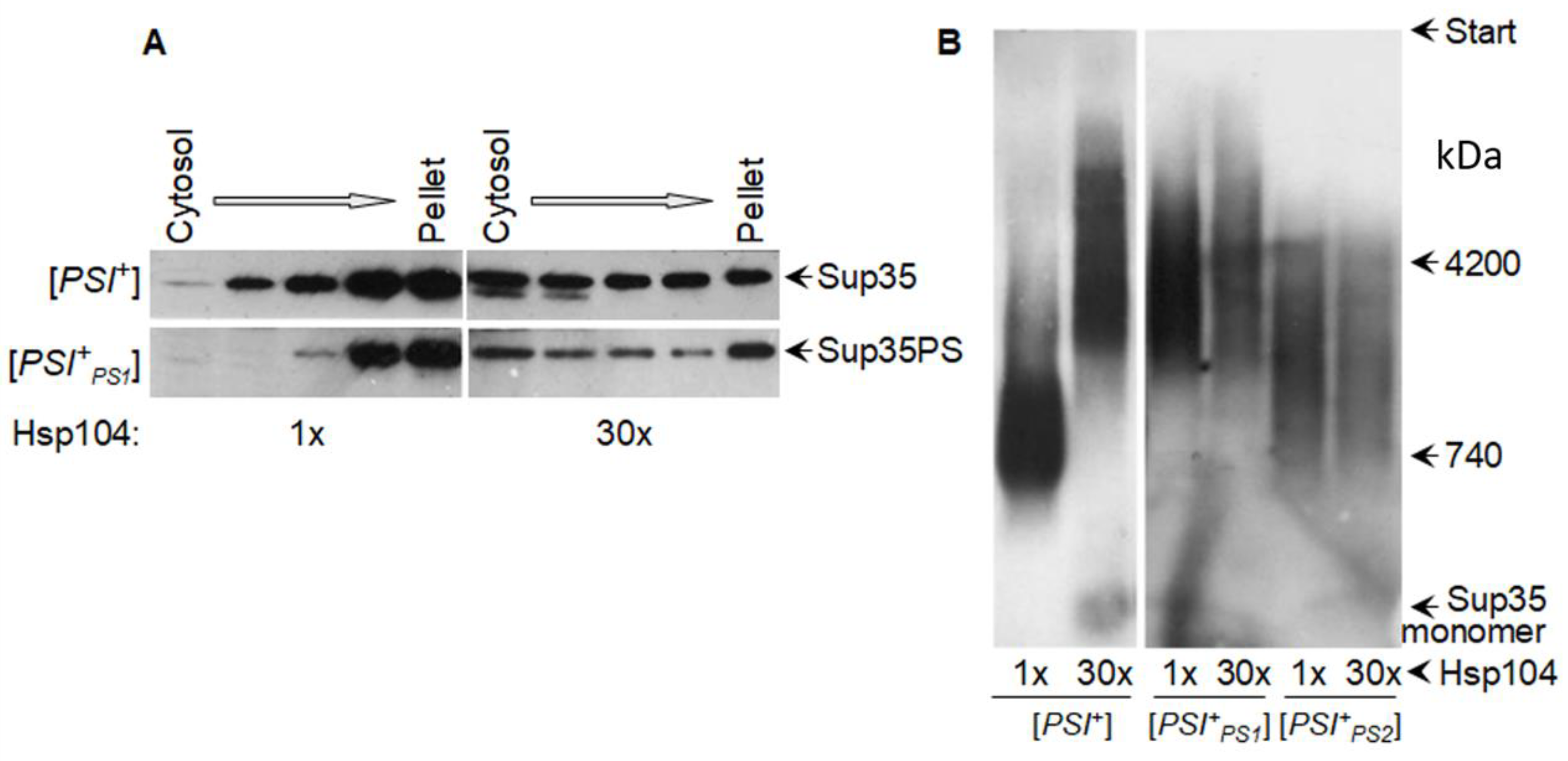 Biomolecules 11 01884 g005