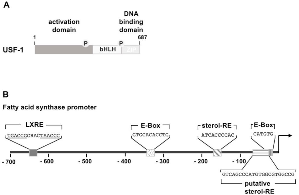 Biomolecules 11 01886 g003