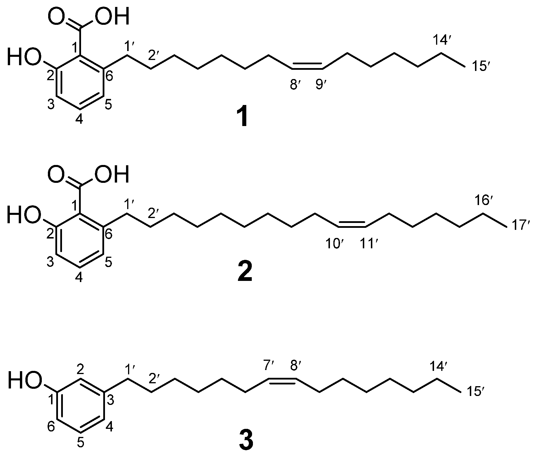 Biomolecules 11 01893 g001