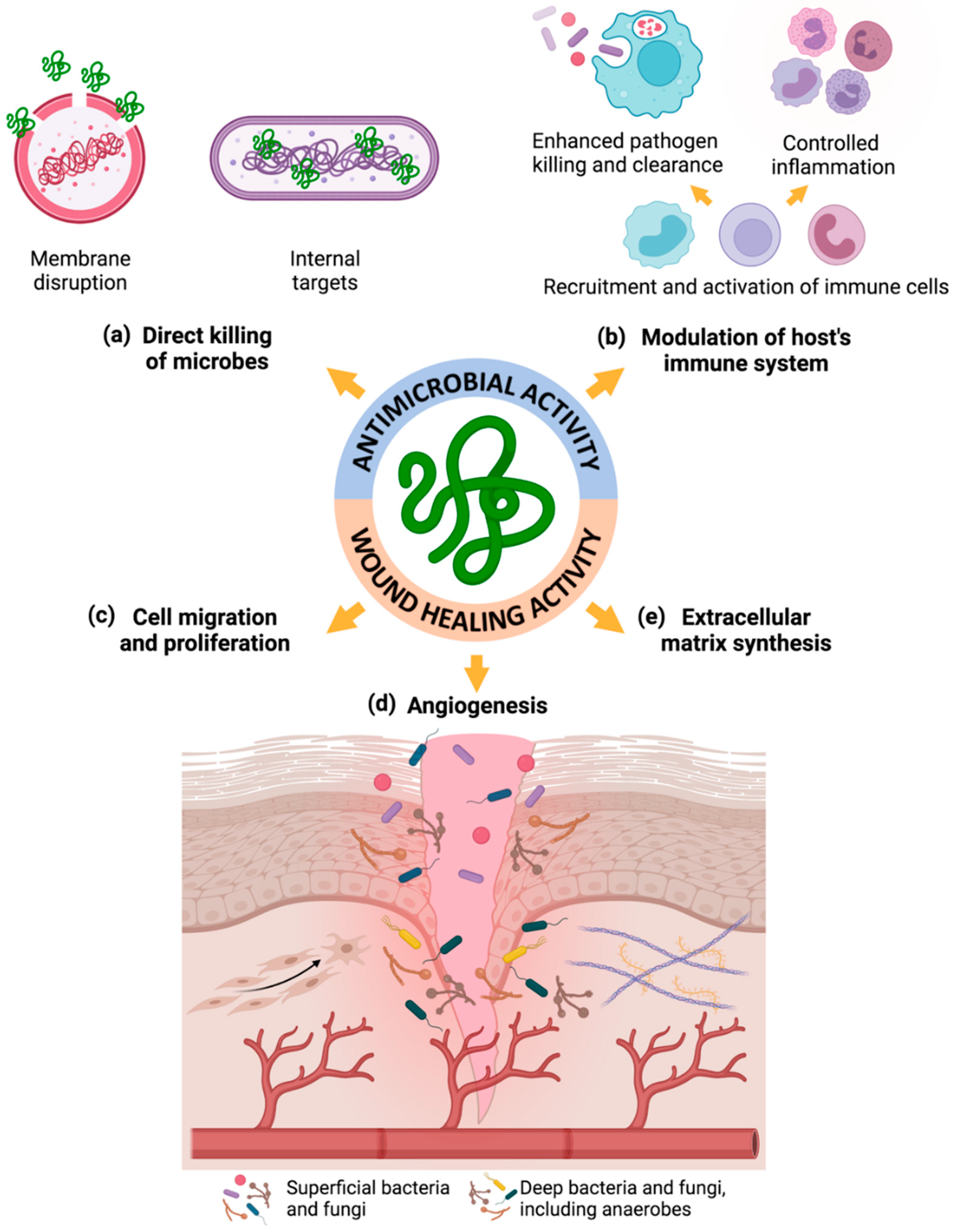 Biomolecules 11 01894 g001