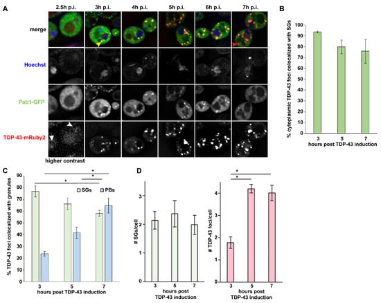 Biomolecules 11 01895 g001 550