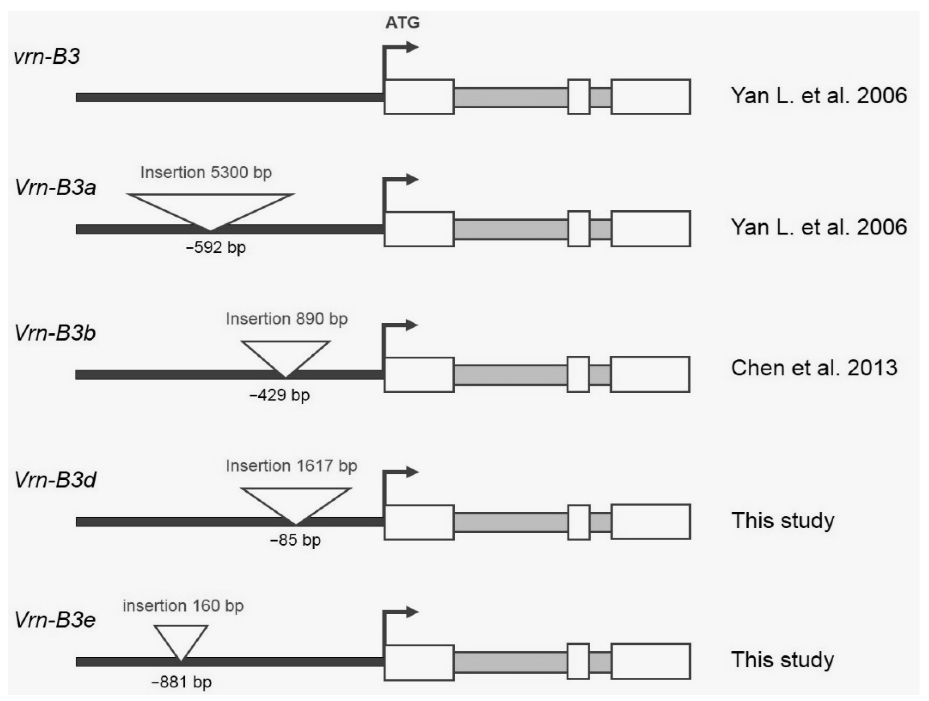 Biomolecules 11 01897 g002