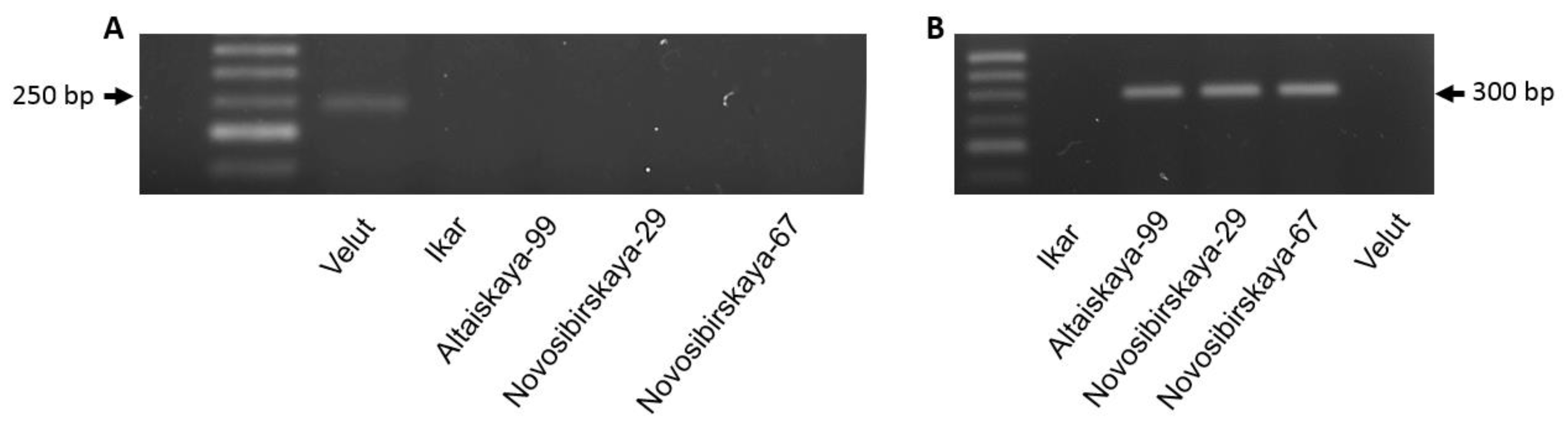 Biomolecules 11 01897 g003