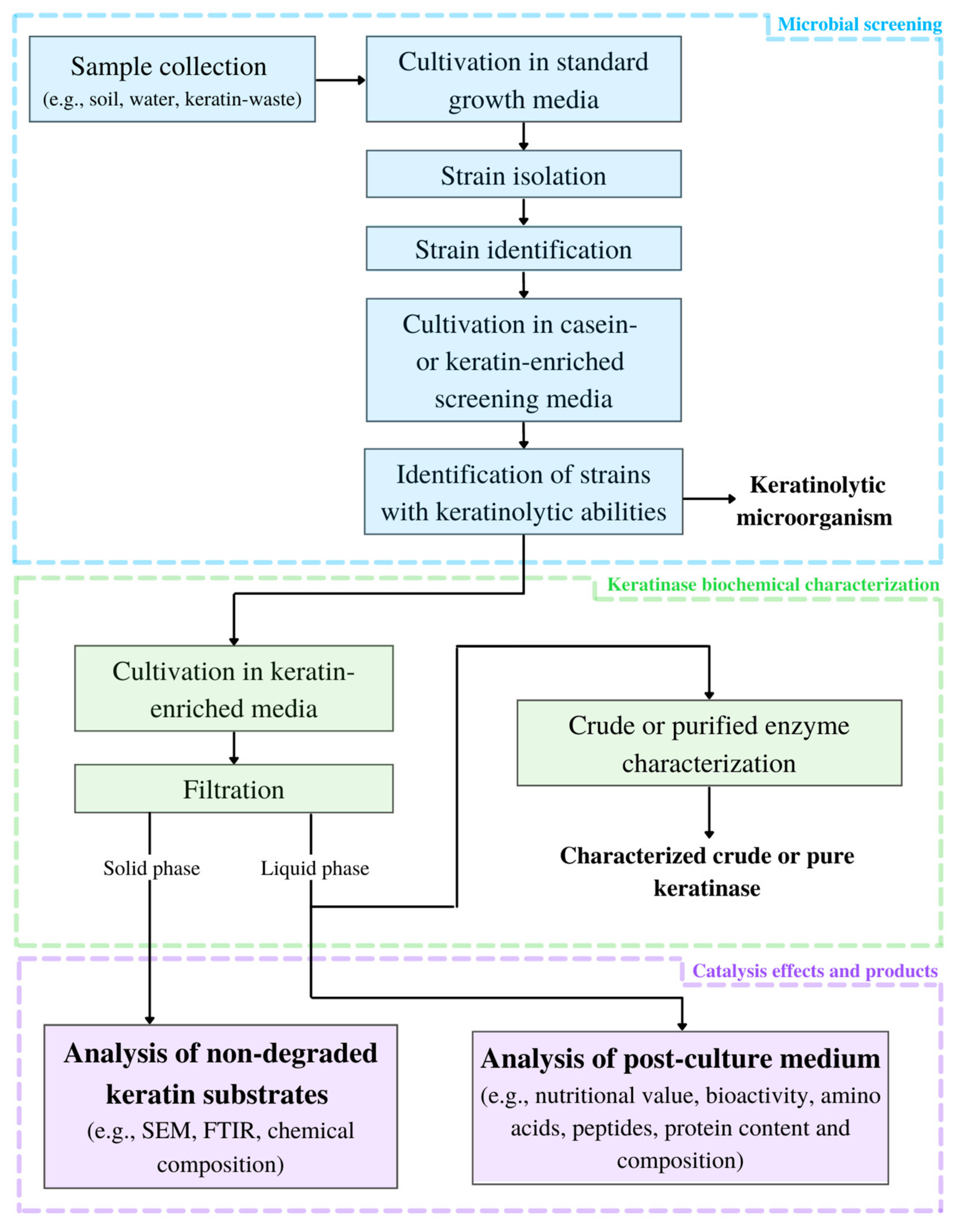 Biomolecules 11 01900 g001