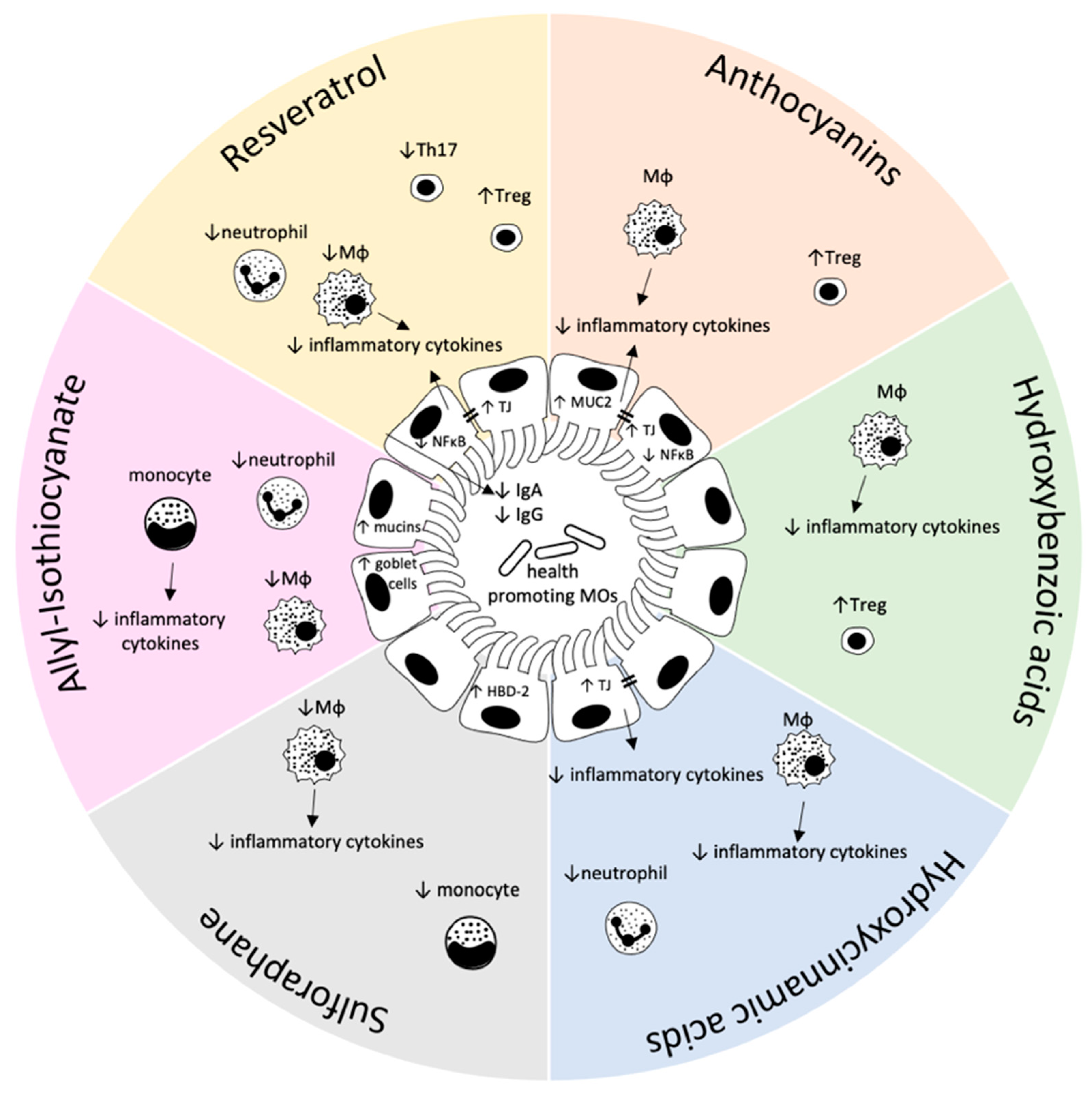 Biomolecules 11 01901 g001 Biomolecules 11 01901 g001