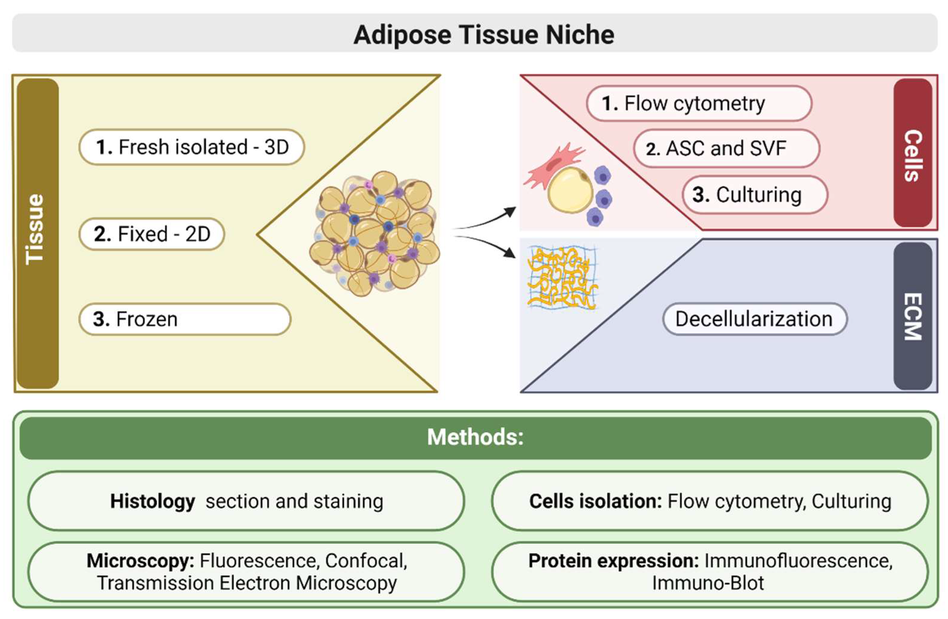 Biomolecules 11 01906 g001