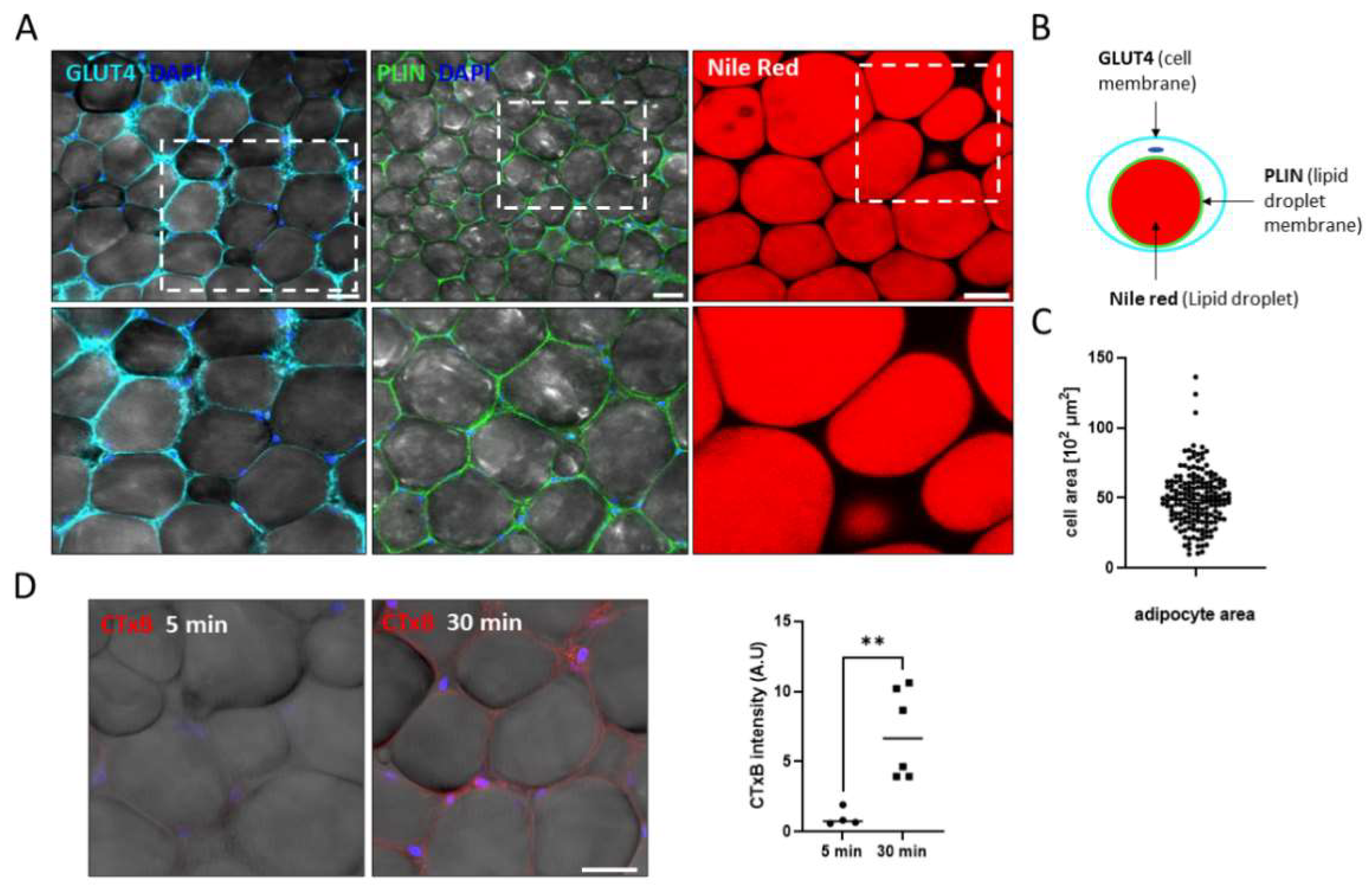 Biomolecules 11 01906 g002