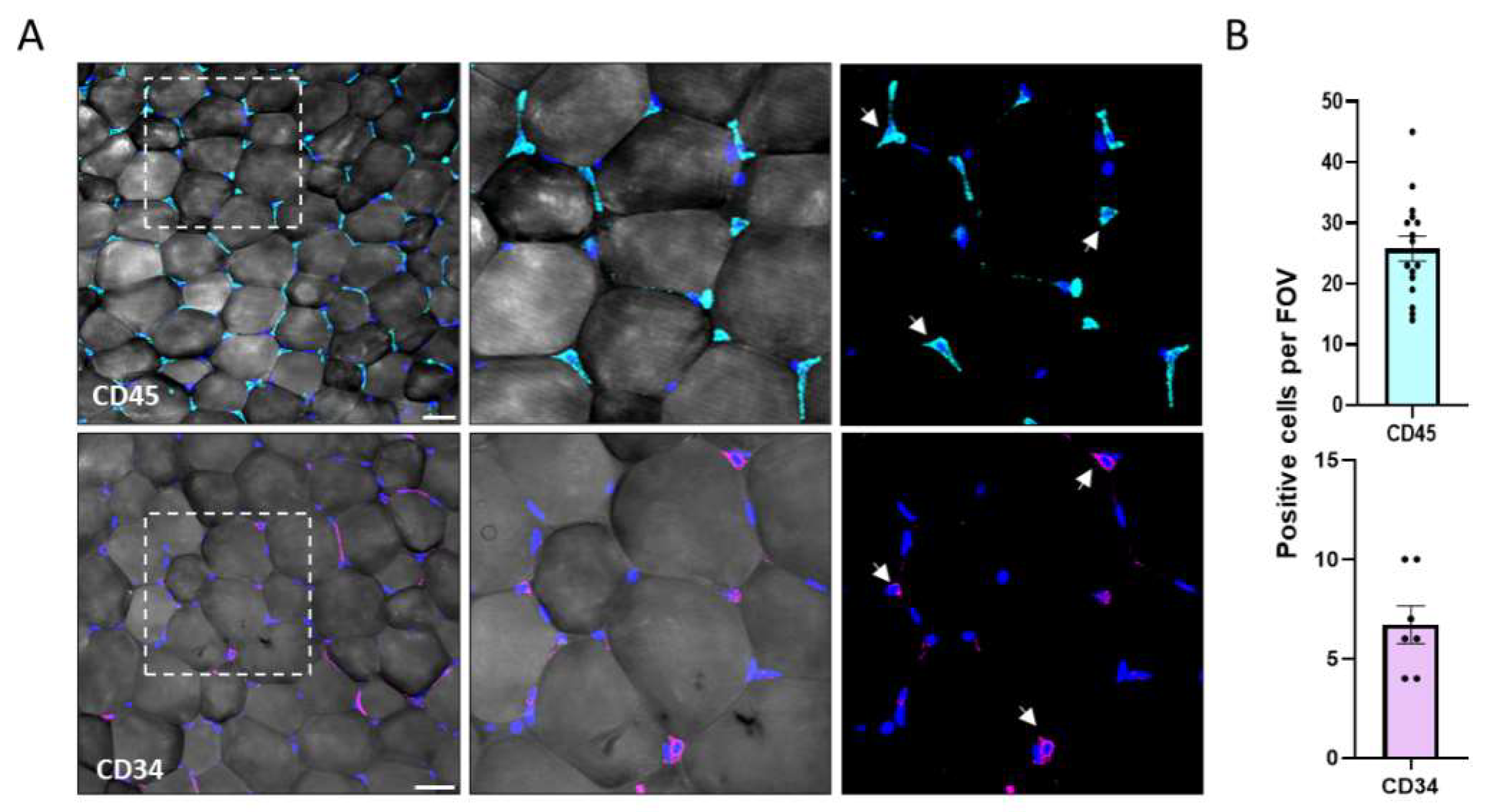 Biomolecules 11 01906 g003
