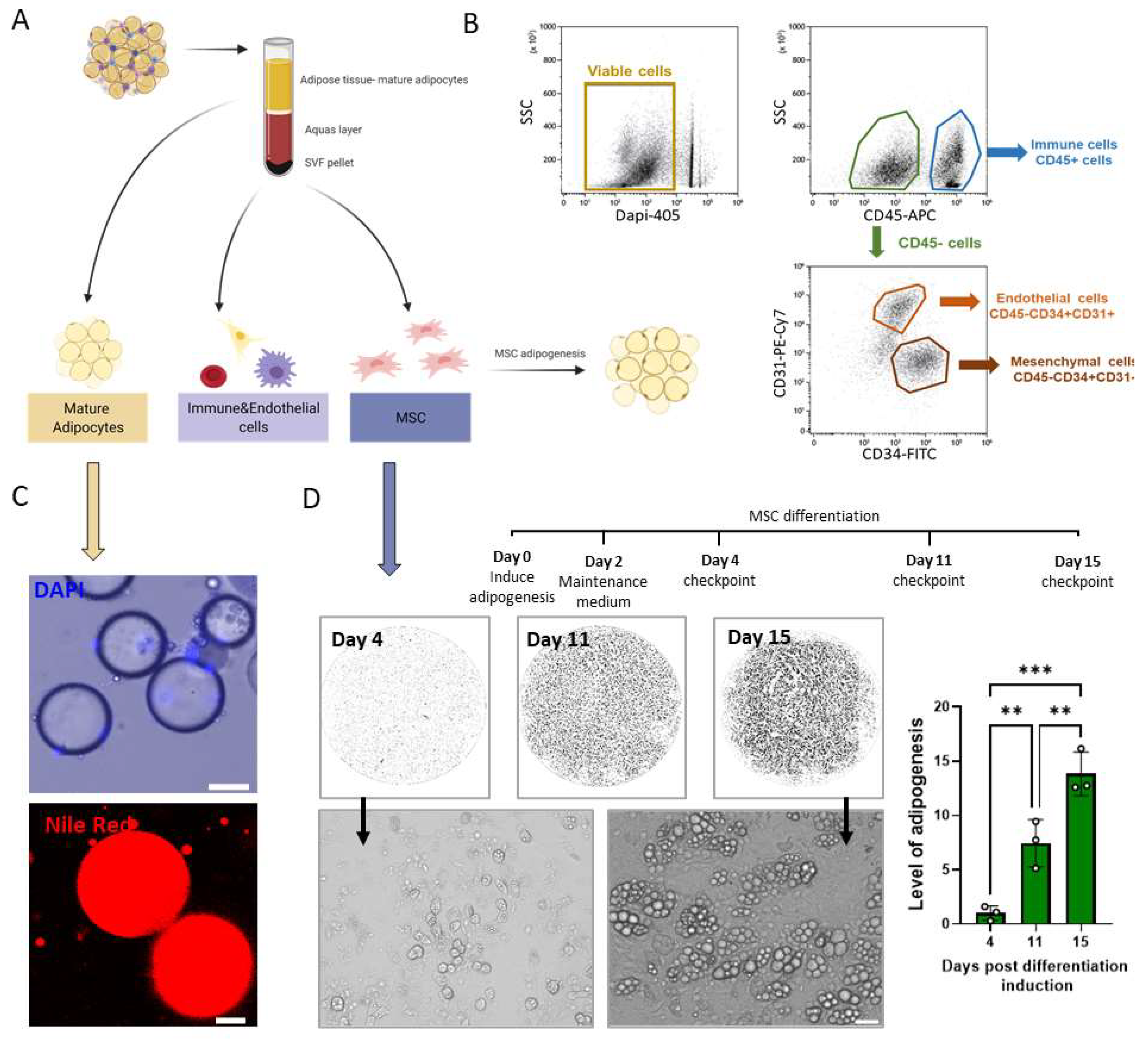 Biomolecules 11 01906 g004