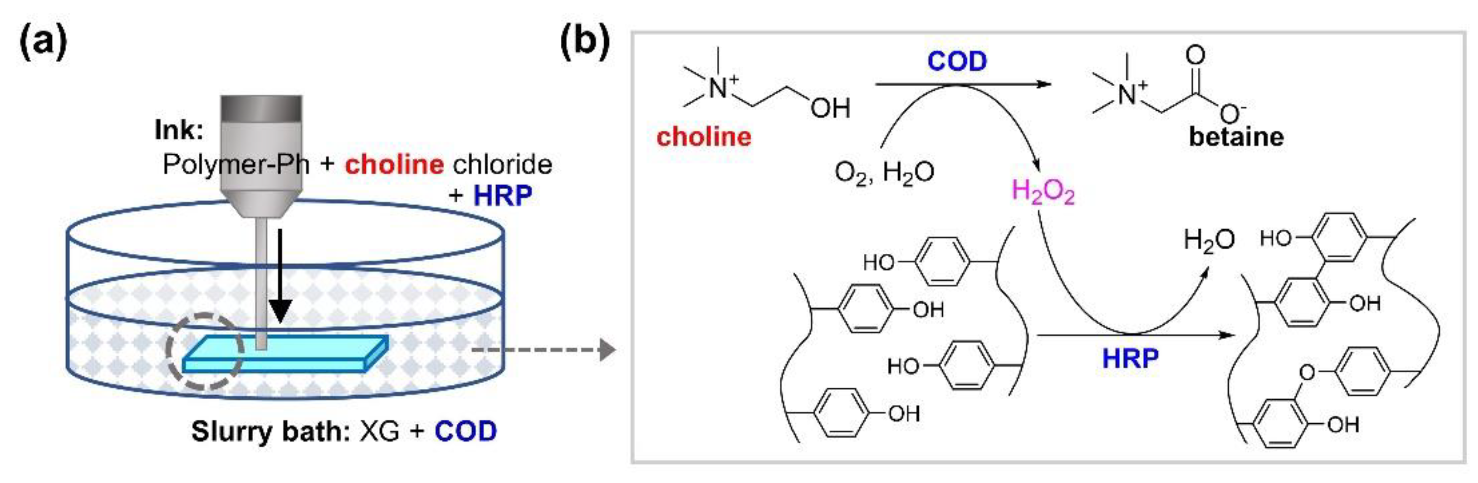 Biomolecules 11 01908 g001