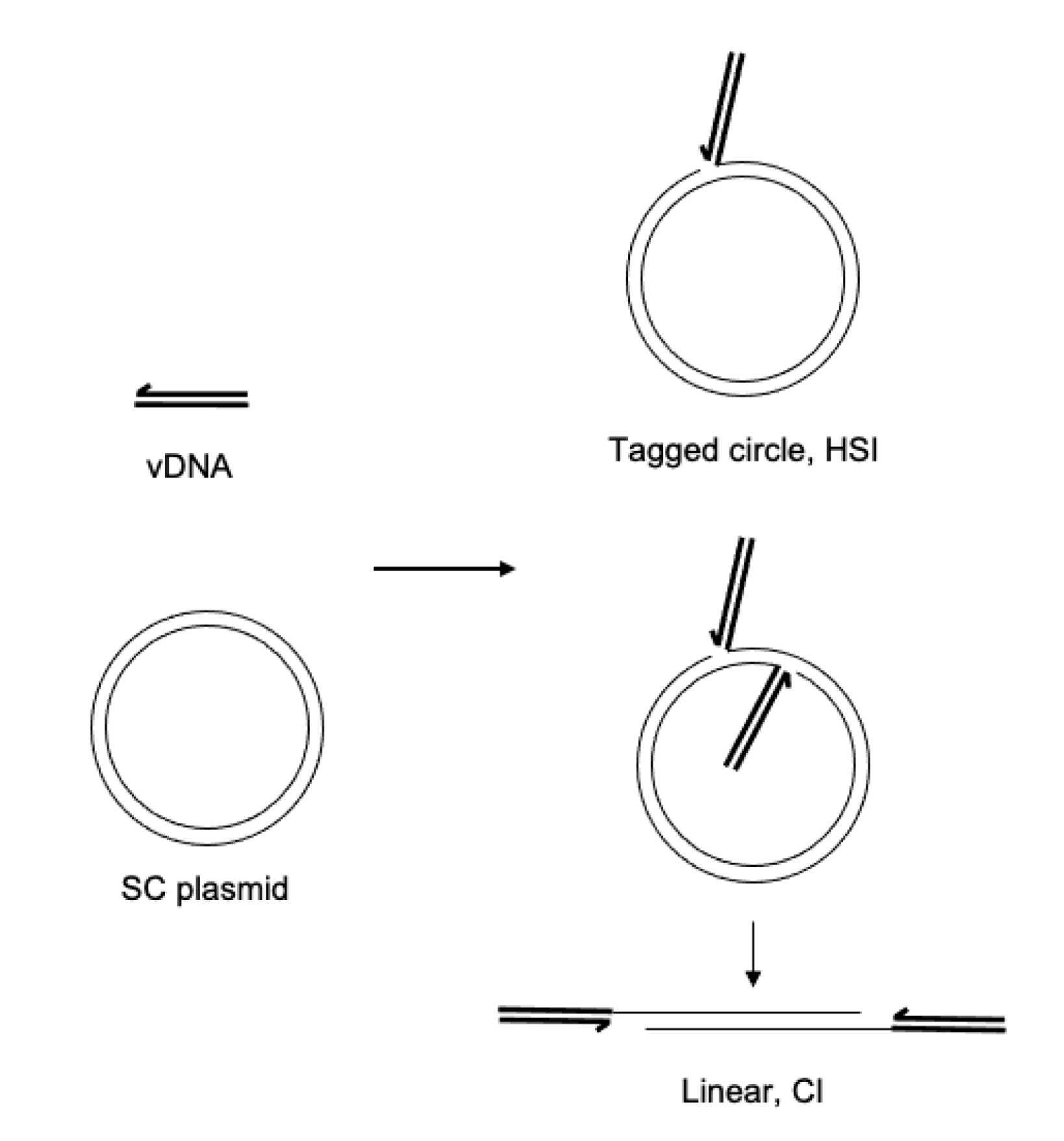 Biomolecules 11 01910 g001